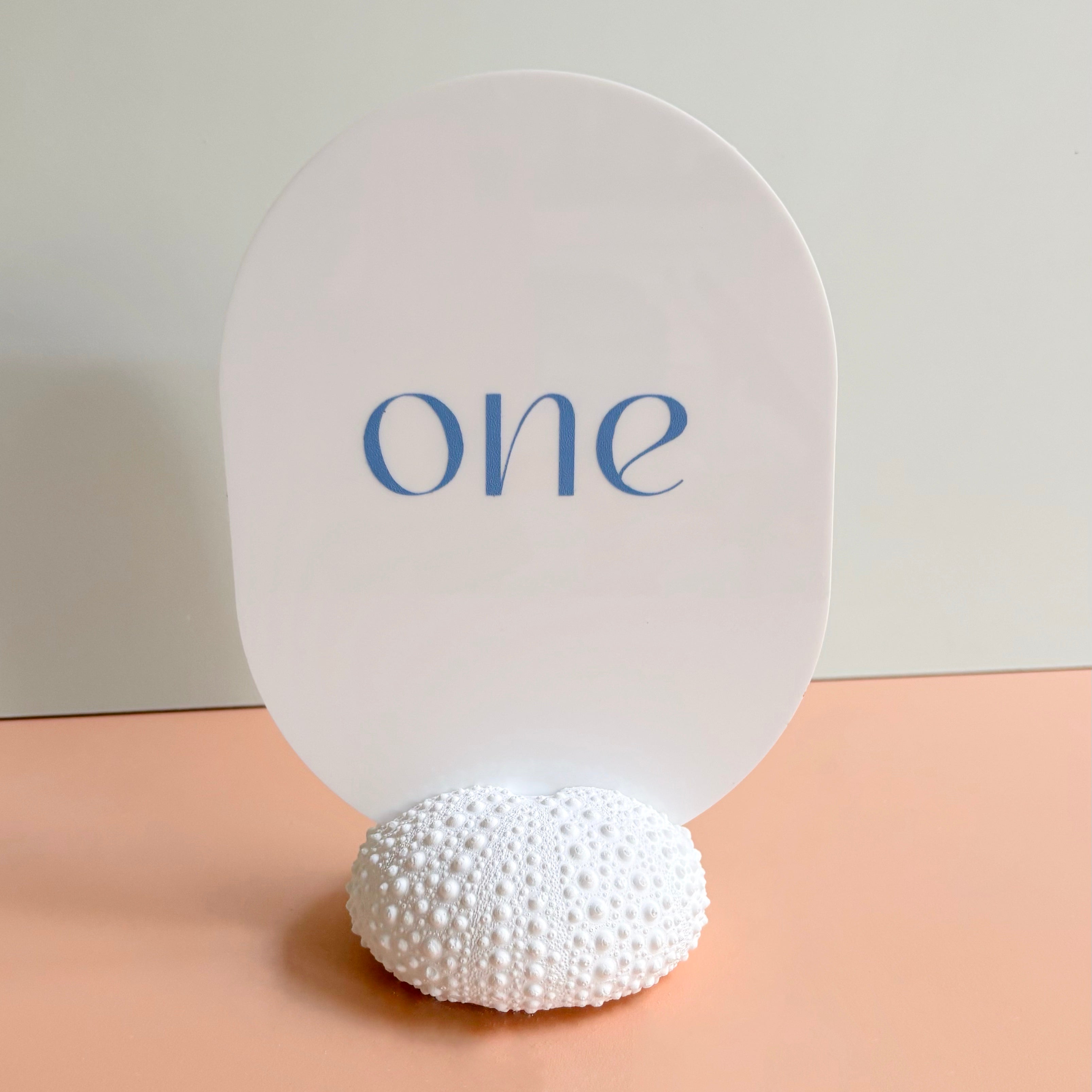 Sea Urchin table number & Photo Holder — Eco Resin | Coastal Wedding Decor