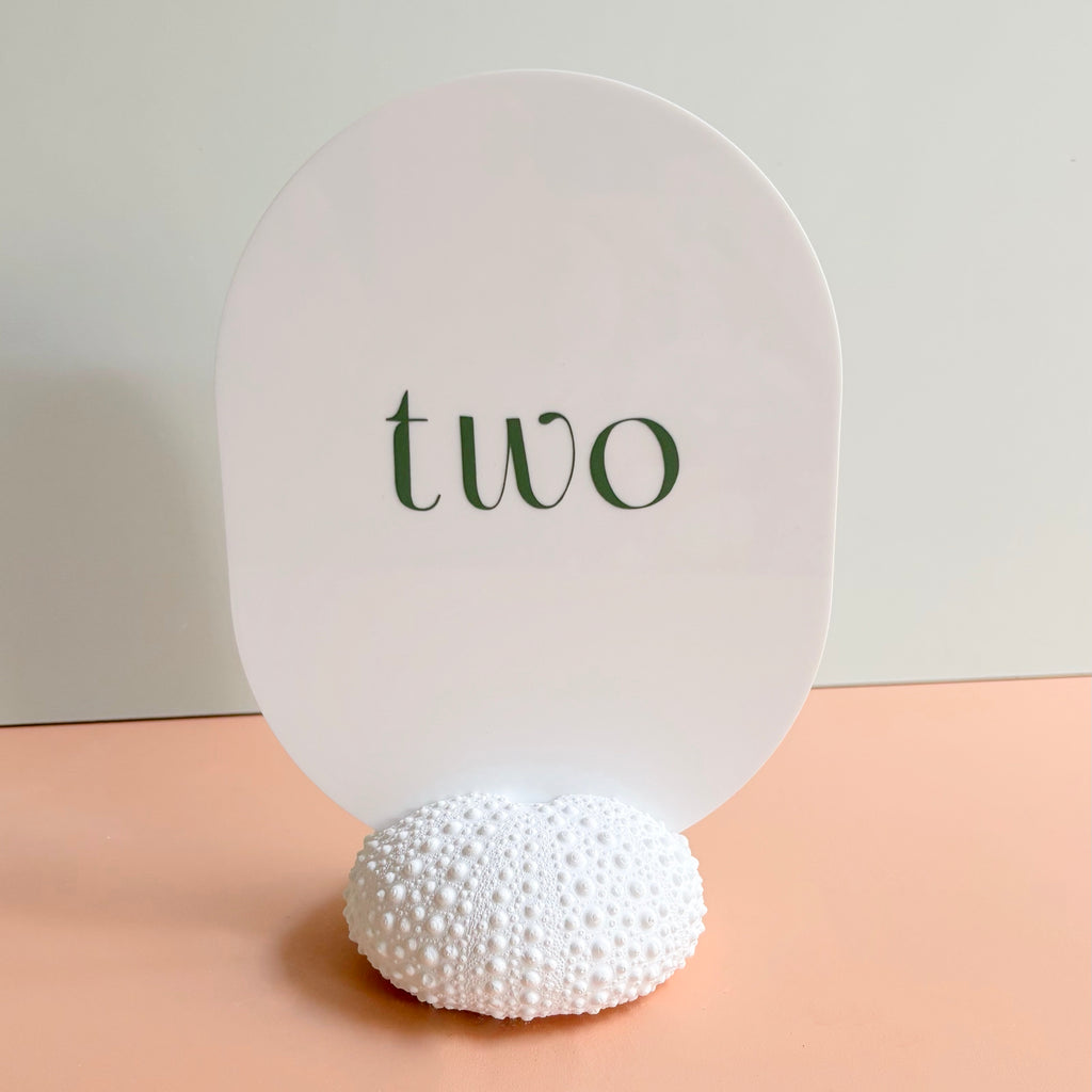 Sea Urchin table number & Photo Holder — Eco Resin | Coastal Wedding Decor