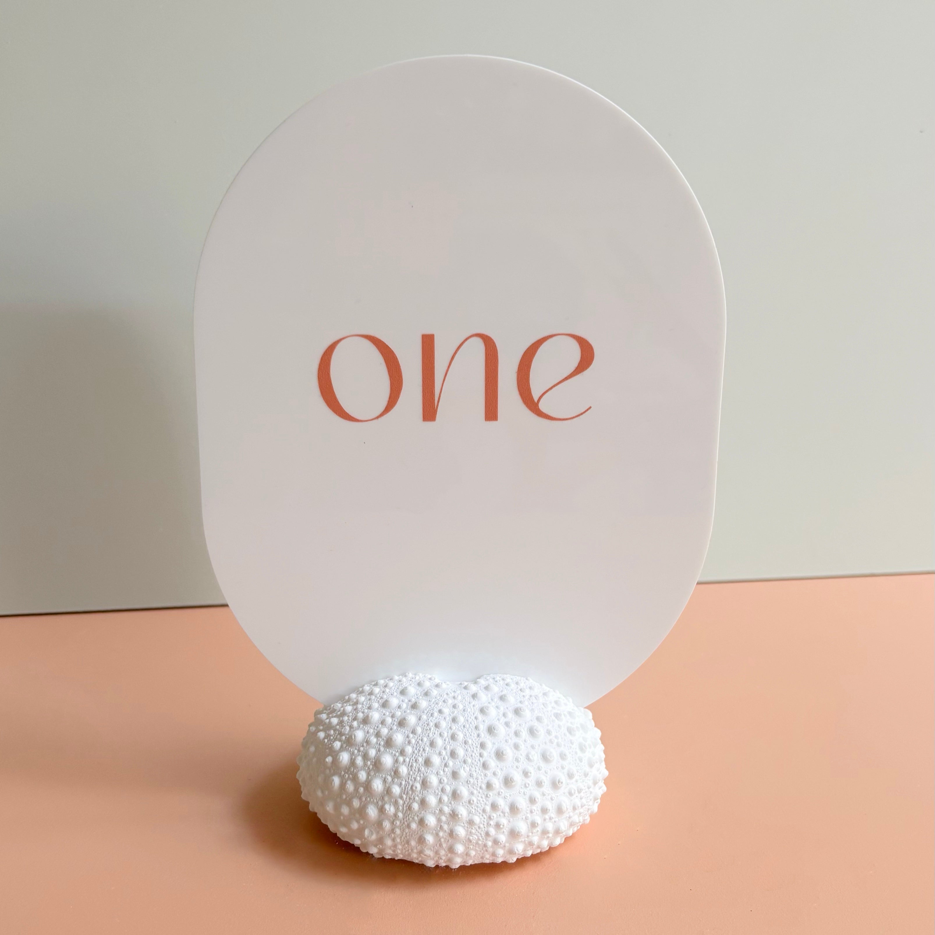 Sea Urchin table number & Photo Holder — Eco Resin | Coastal Wedding Decor