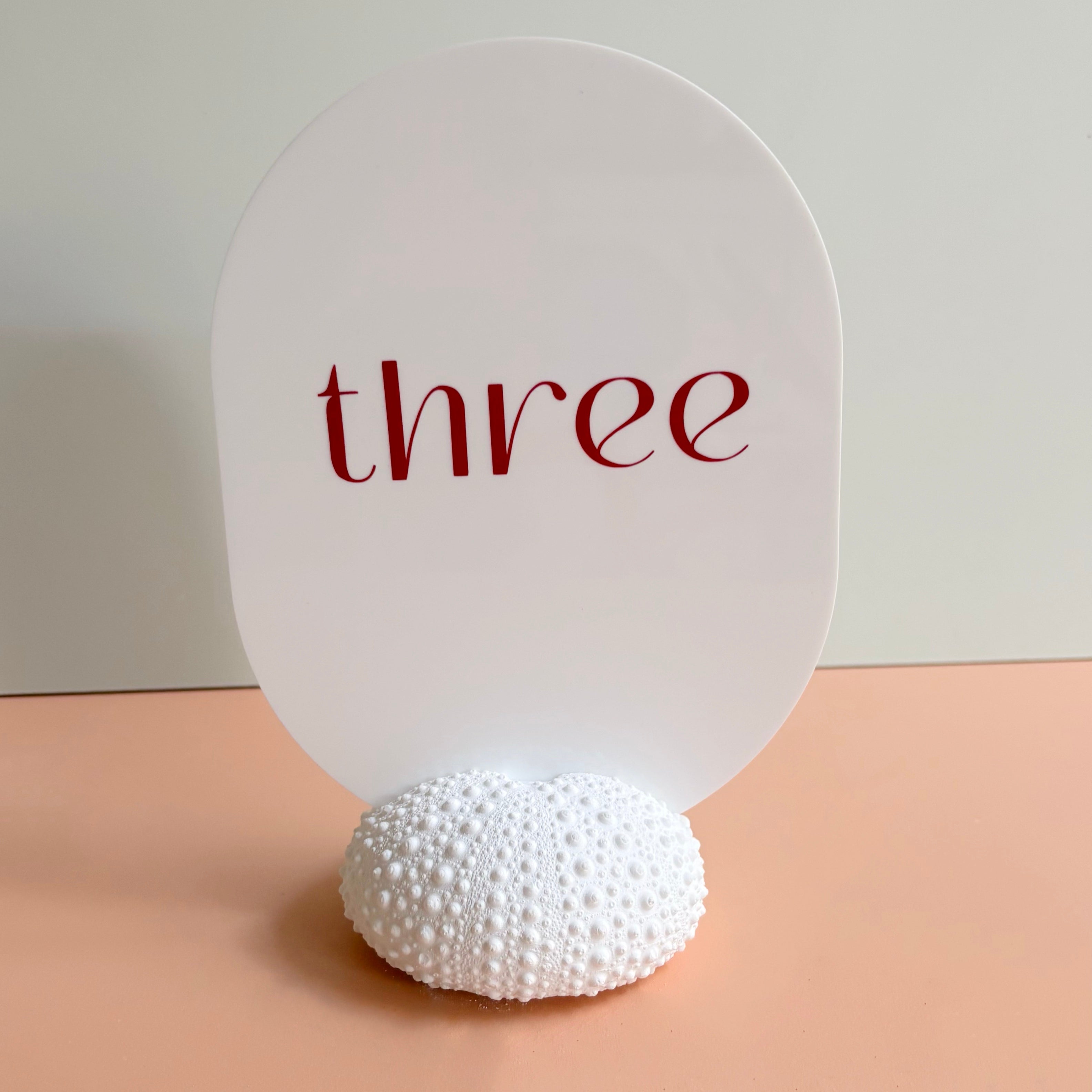 Sea Urchin table number & Photo Holder — Eco Resin | Coastal Wedding Decor