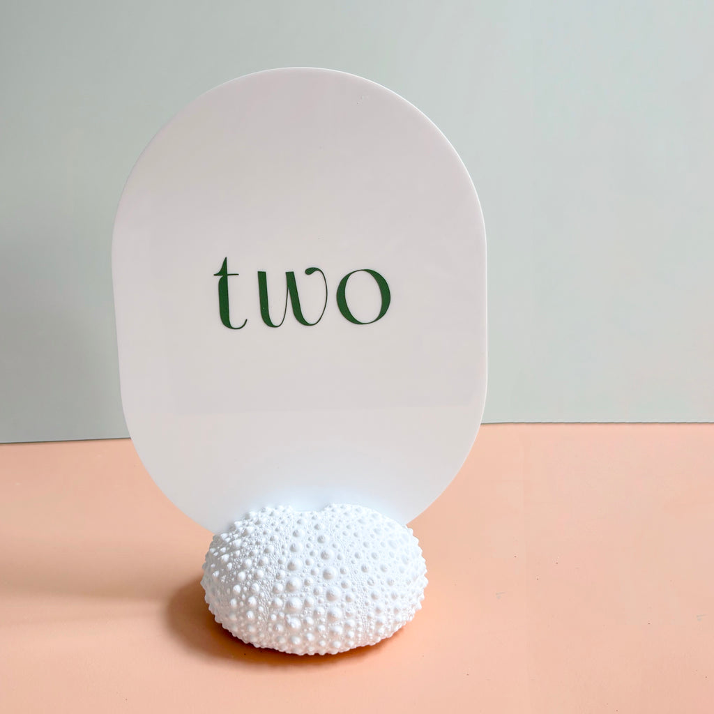 Sea Urchin table number & Photo Holder — Eco Resin | Coastal Wedding Decor