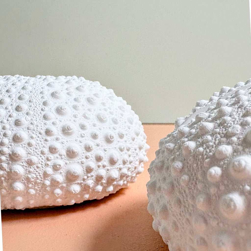 Sea Urchin Card & Photo Holder — Eco Resin | Coastal Wedding Decor