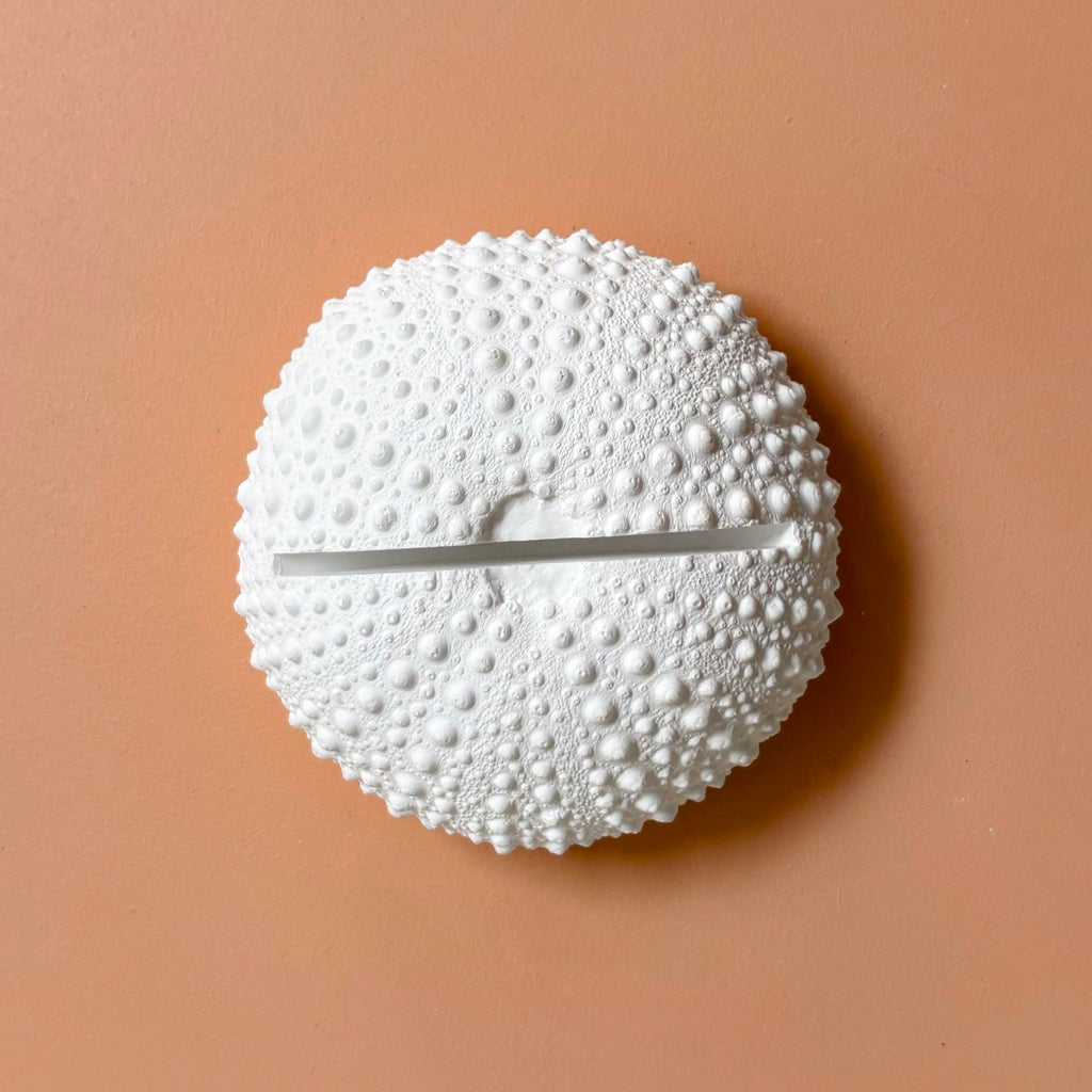 Sea Urchin table number & Photo Holder — Eco Resin | Coastal Wedding Decor