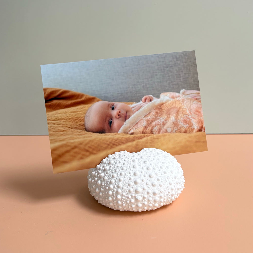 Sea Urchin Card & Photo Holder — Eco Resin | Coastal Wedding Decor