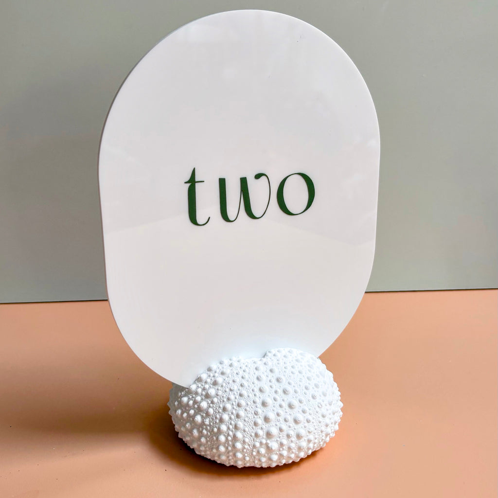 Sea Urchin table number & Photo Holder — Eco Resin | Coastal Wedding Decor