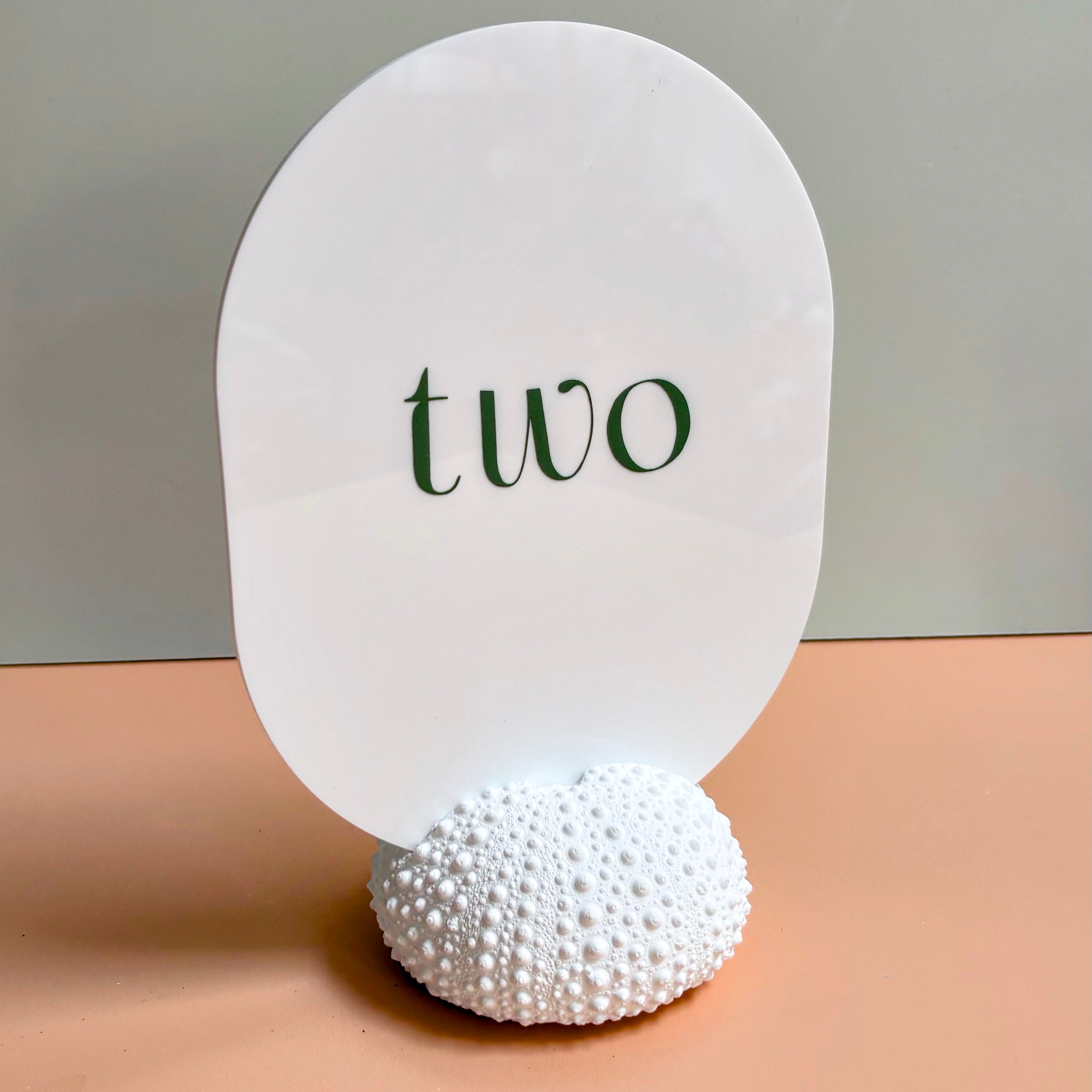 Sea Urchin table number & Photo Holder — Eco Resin | Coastal Wedding Decor