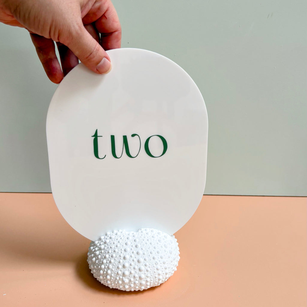 Sea Urchin table number & Photo Holder — Eco Resin | Coastal Wedding Decor