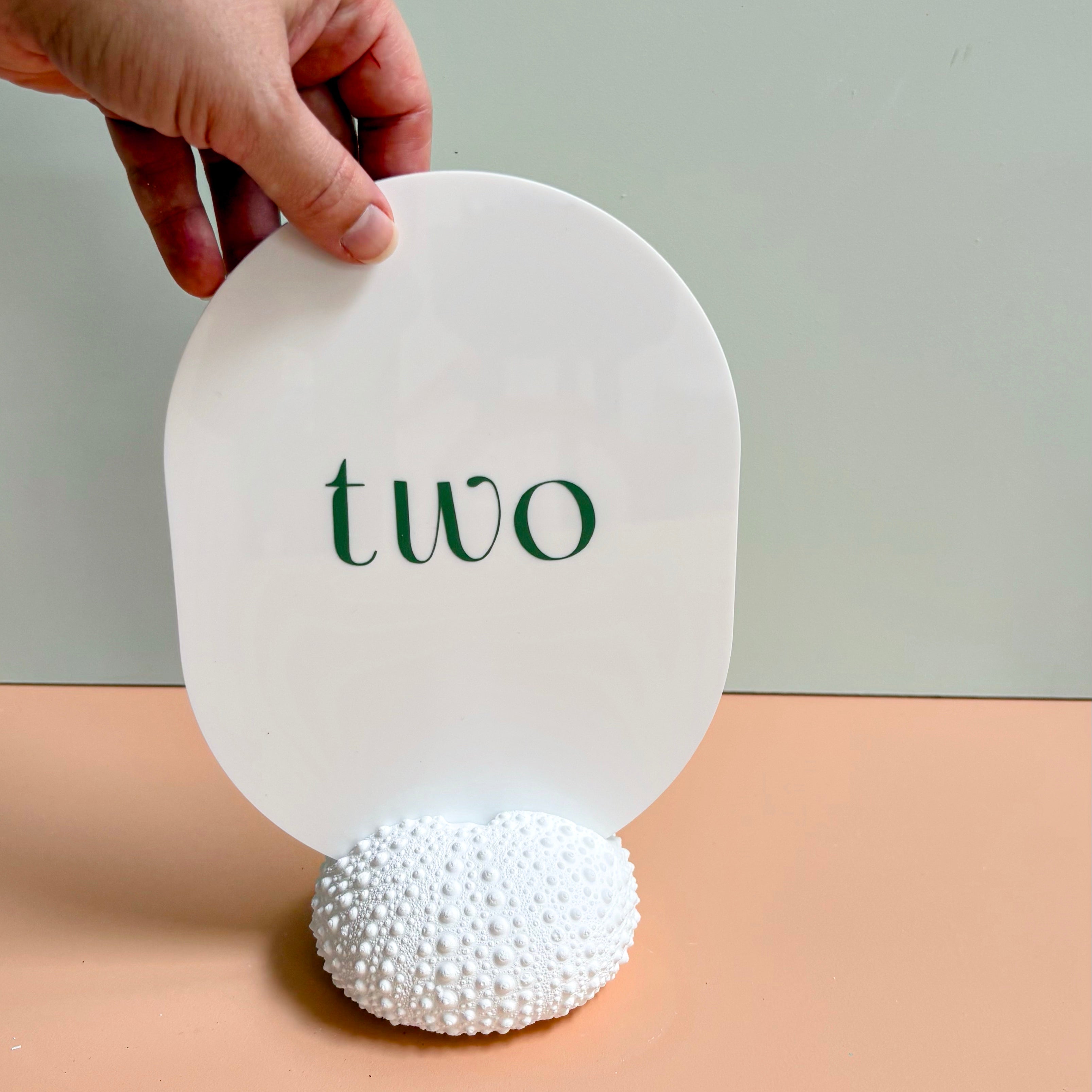 Sea Urchin table number & Photo Holder — Eco Resin | Coastal Wedding Decor