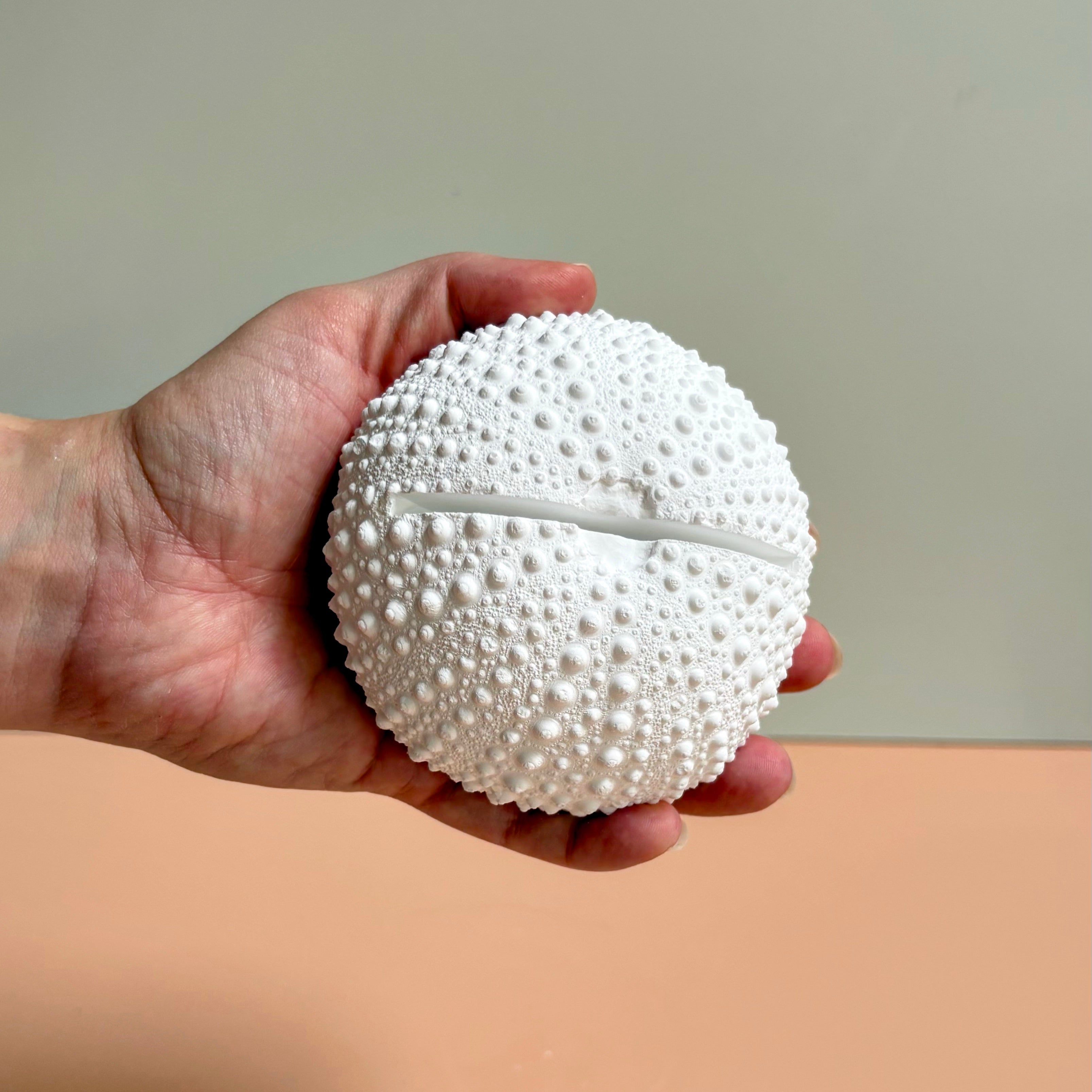 Sea Urchin Card & Photo Holder — Eco Resin | Coastal Wedding Decor