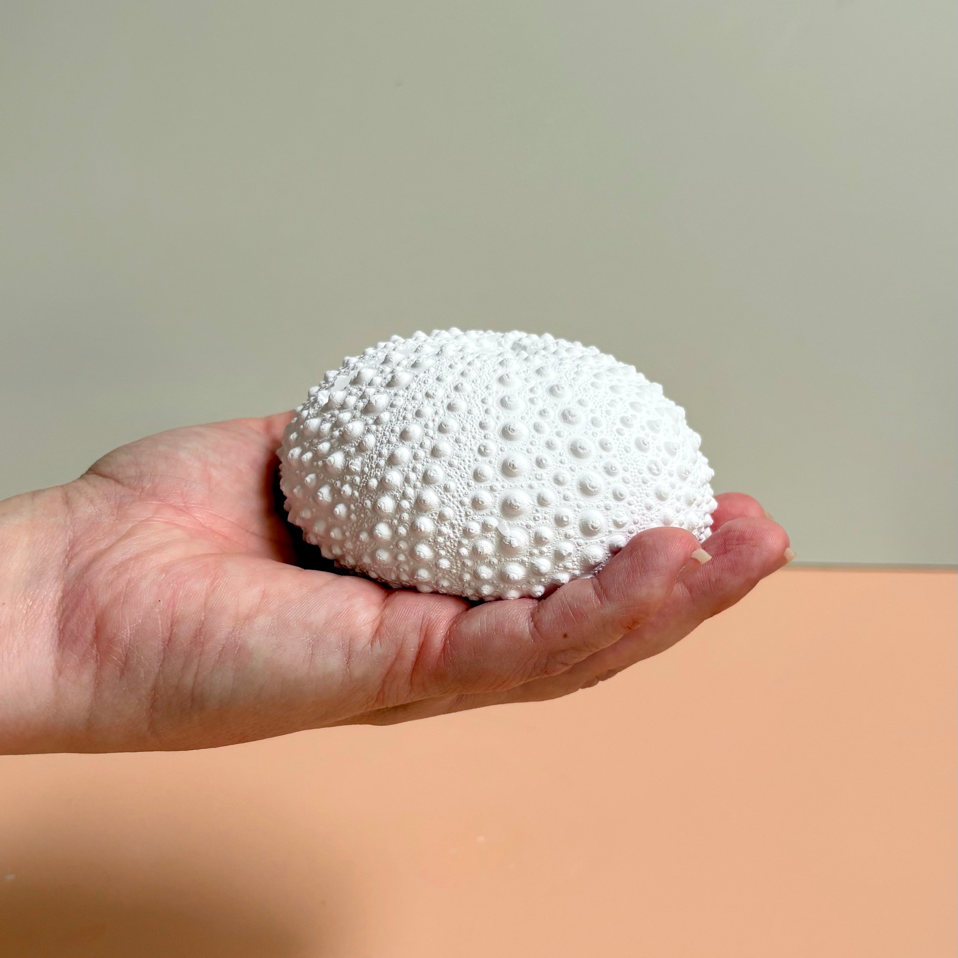 Sea Urchin Card & Photo Holder — Eco Resin | Coastal Wedding Decor