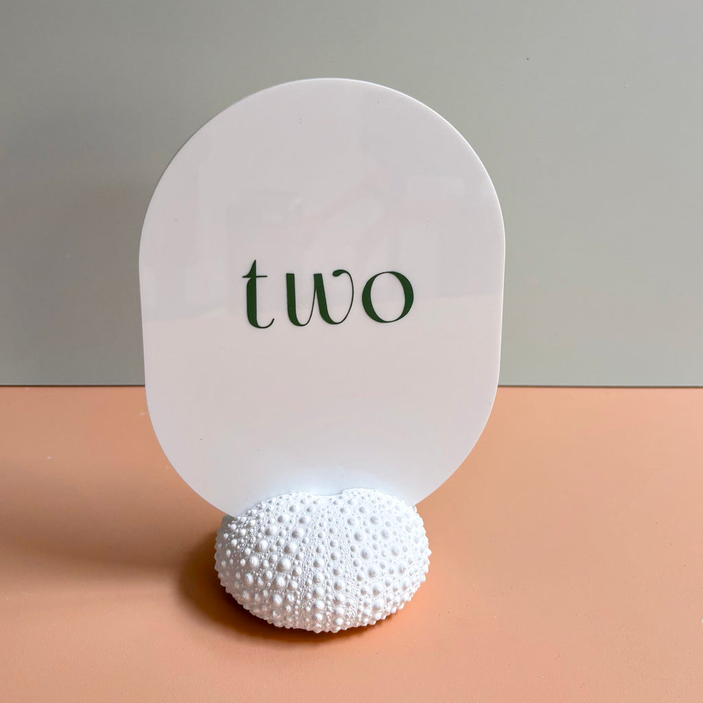 Sea Urchin table number & Photo Holder — Eco Resin | Coastal Wedding Decor