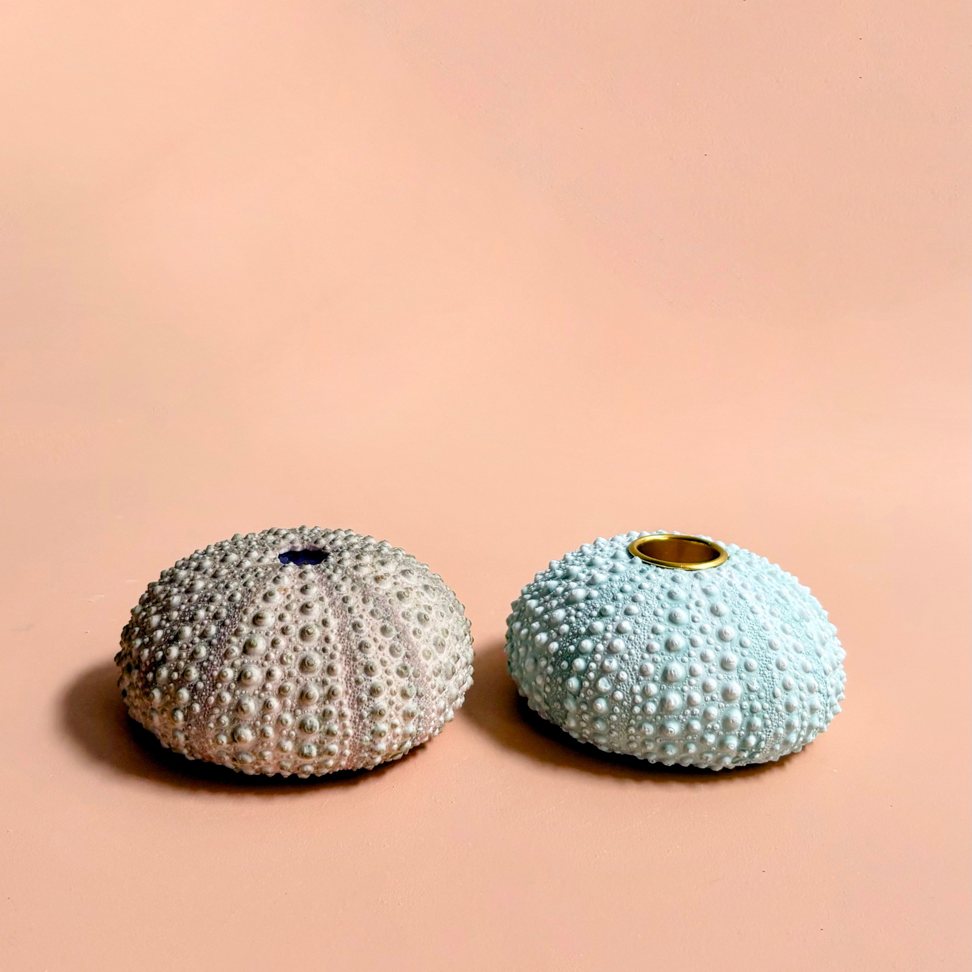 Green Sea Urchin candle Holder — Eco Resin | Coastal Wedding Decor