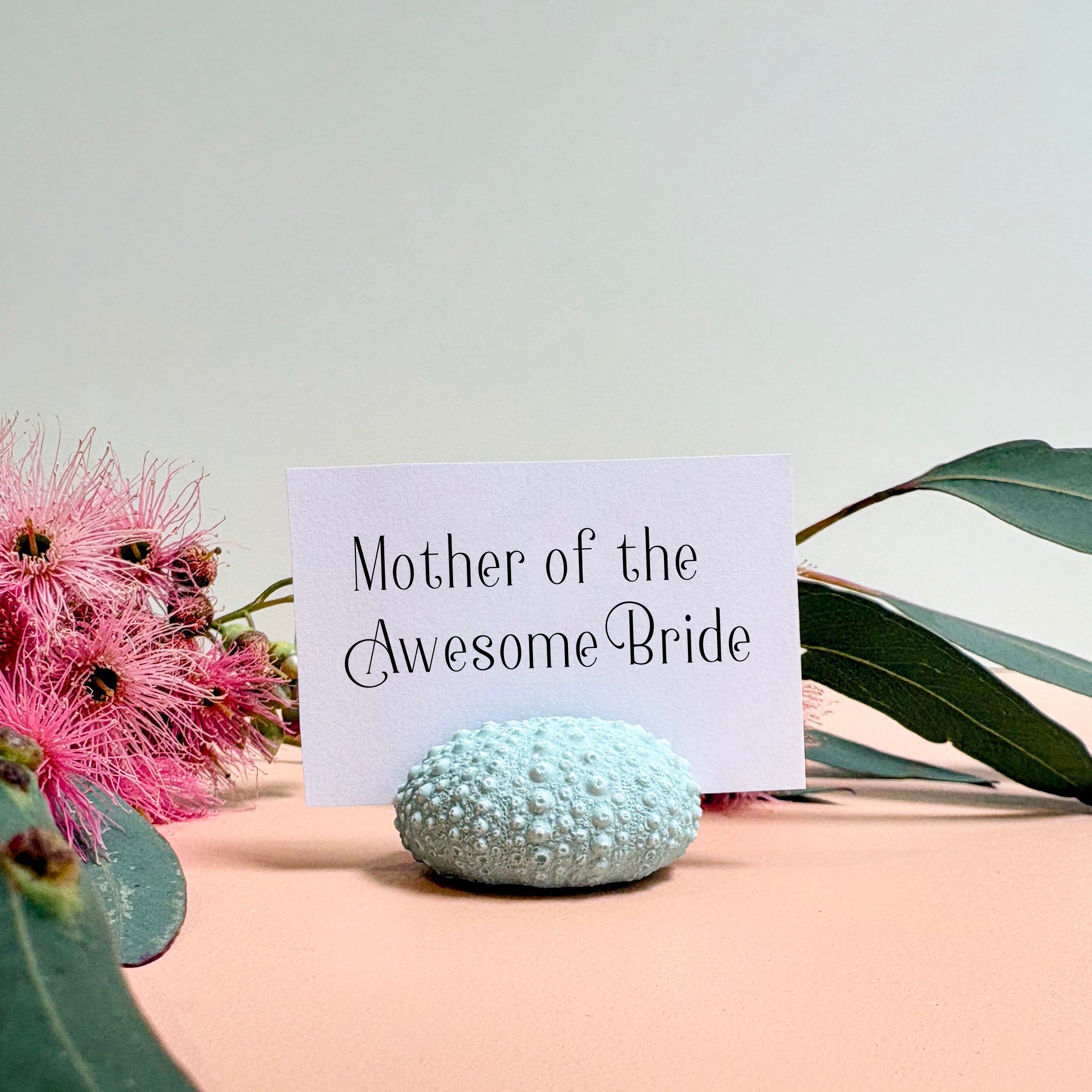 Green Sea Urchin Name Card & Photo Holder / wedding favour