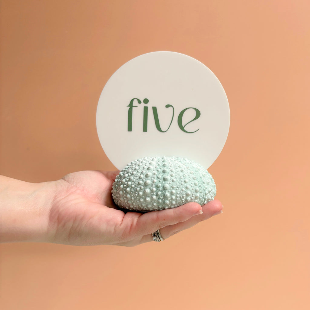 Green Sea Urchin table number & Photo Holder — Eco Resin
