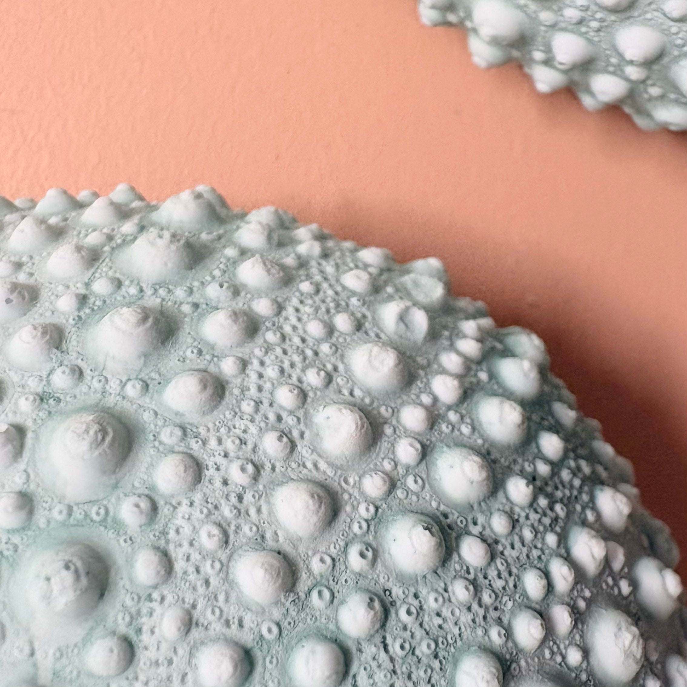 Green Sea Urchin candle Holder — Eco Resin | Coastal Wedding Decor