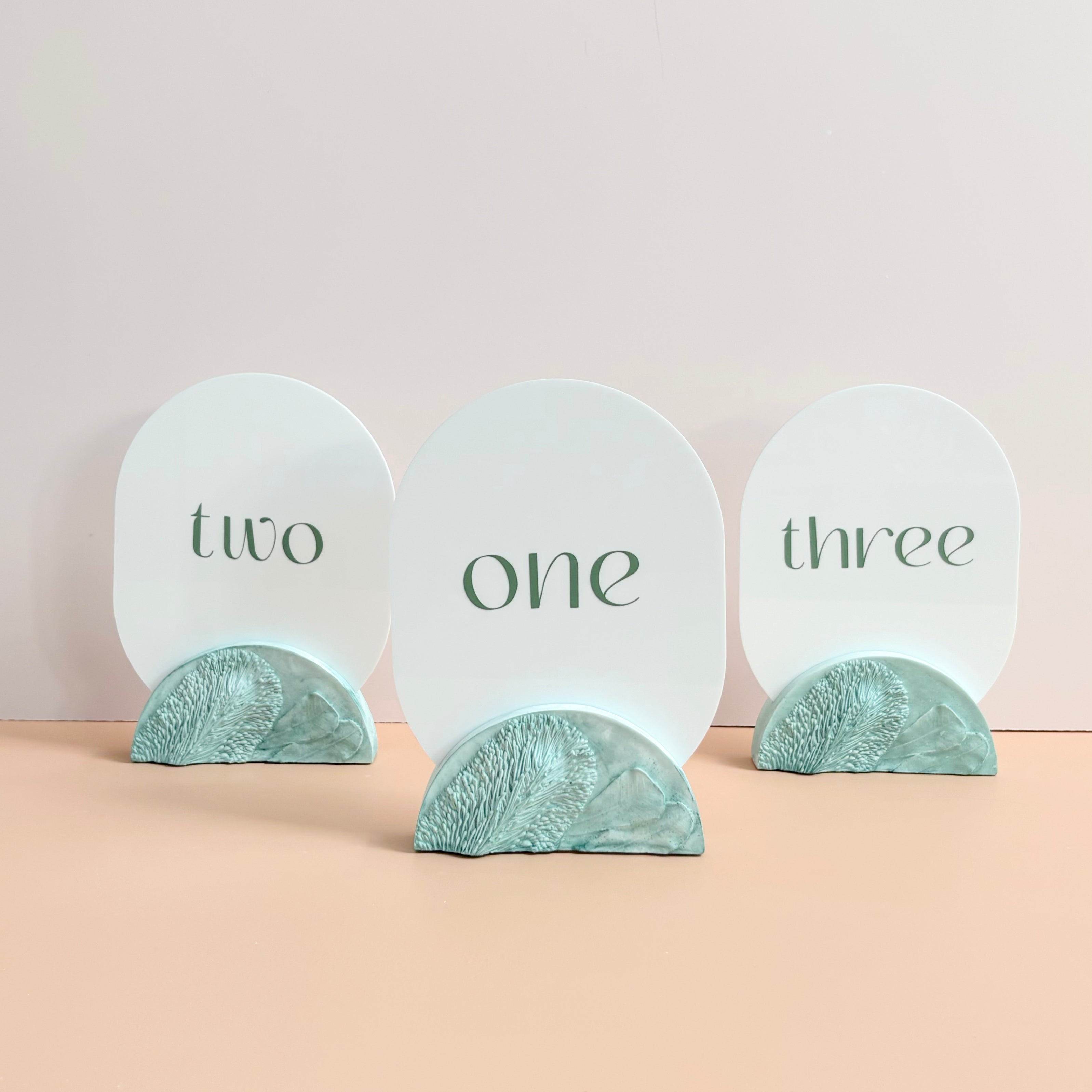 Banksia Flower Wedding Table Numbers | Australian Native Resin | Annaglee