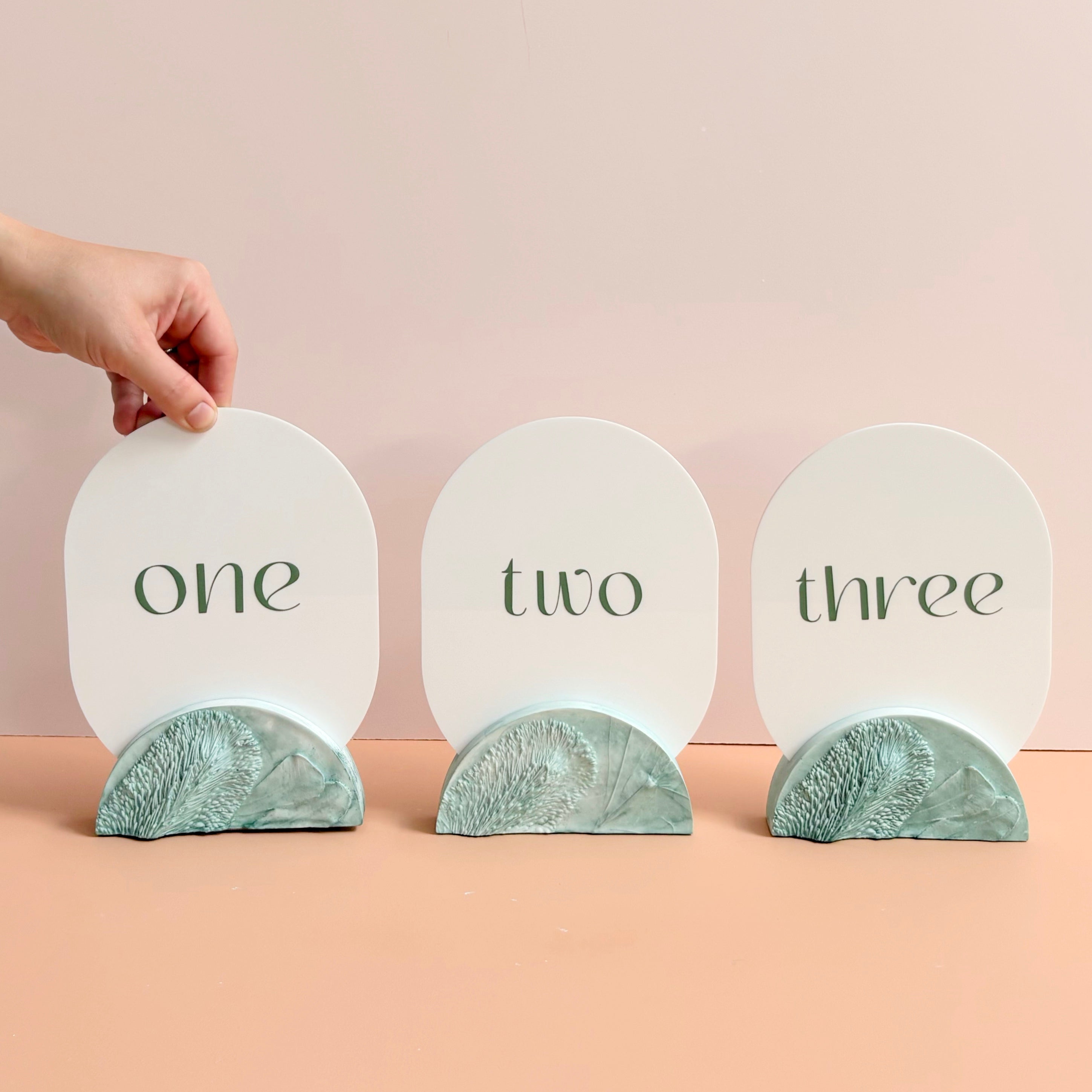 Banksia Flower Wedding Table Numbers | Australian Native Resin | Annaglee