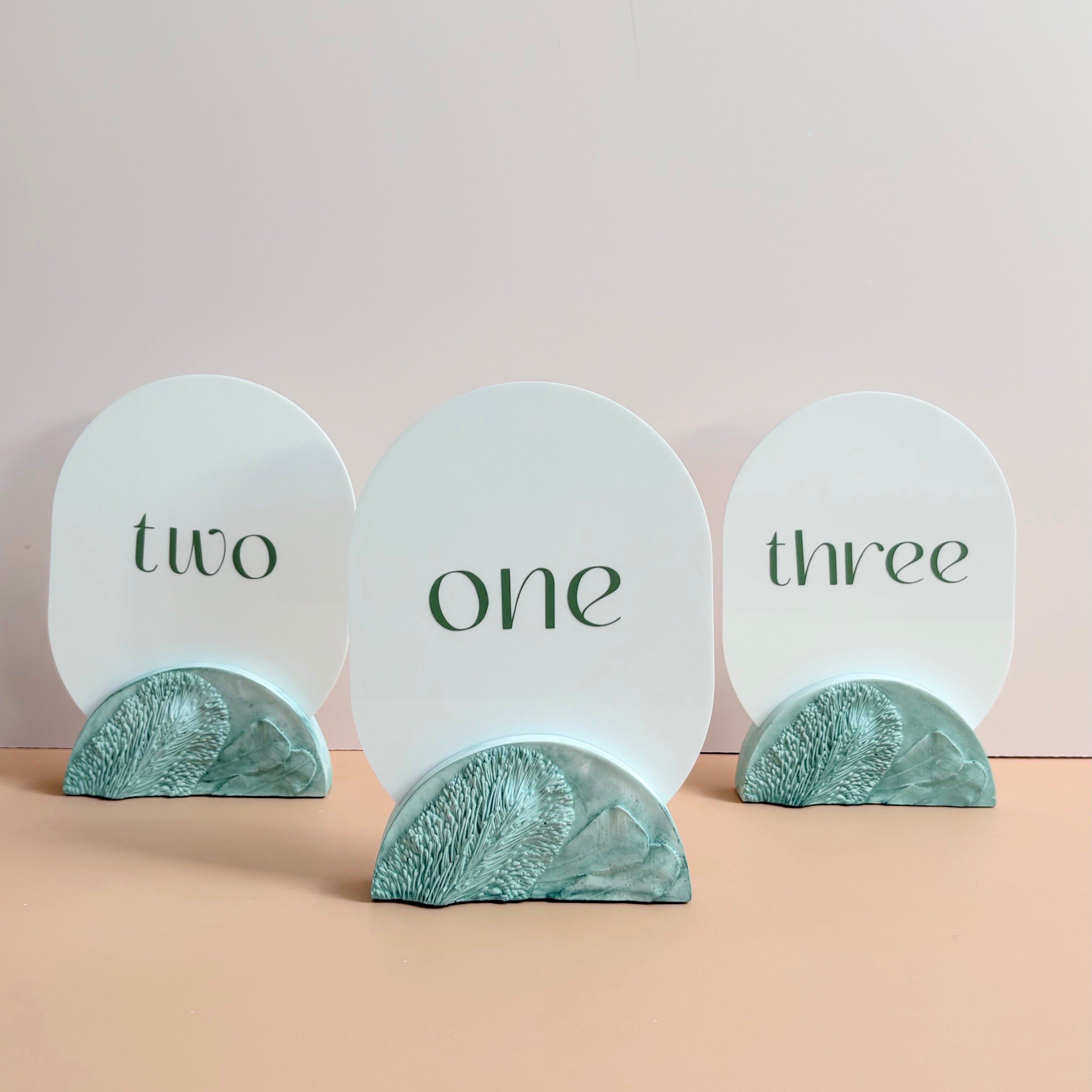 Banksia Flower Wedding Table Numbers | Australian Native Resin | Annaglee