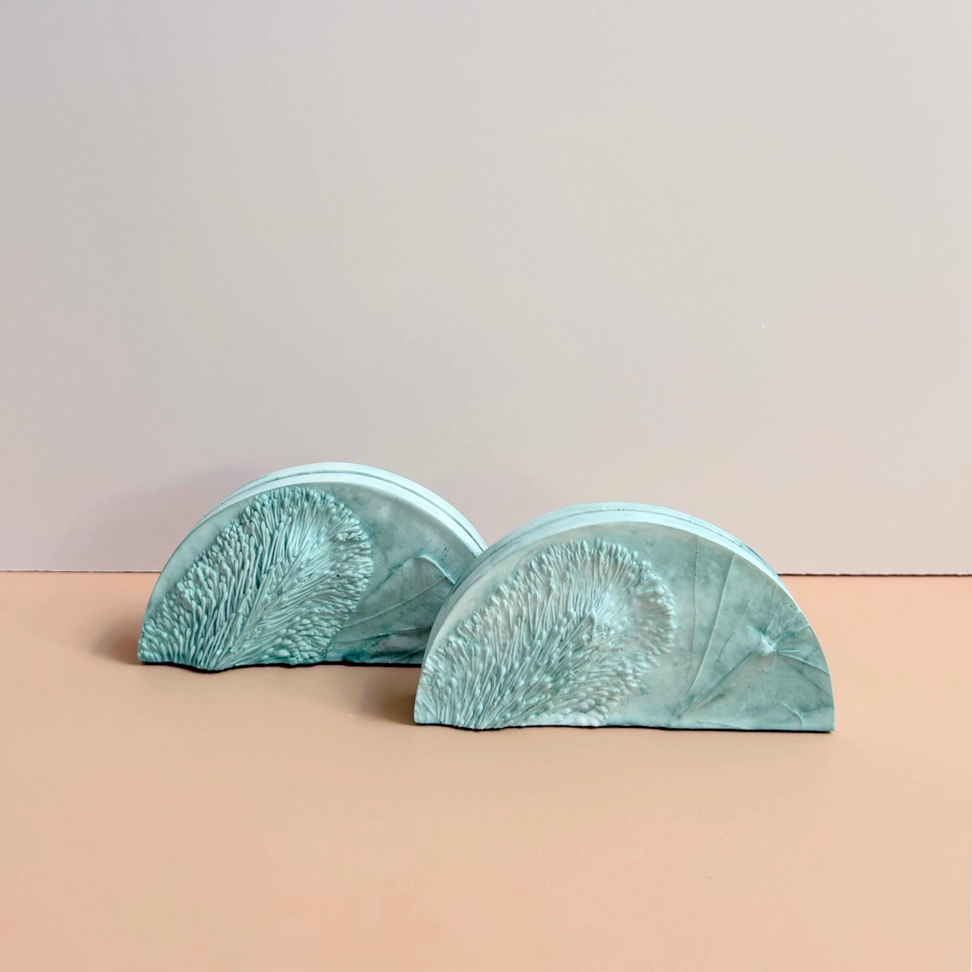 Banksia Flower Wedding Table Numbers | Australian Native Resin | Annaglee