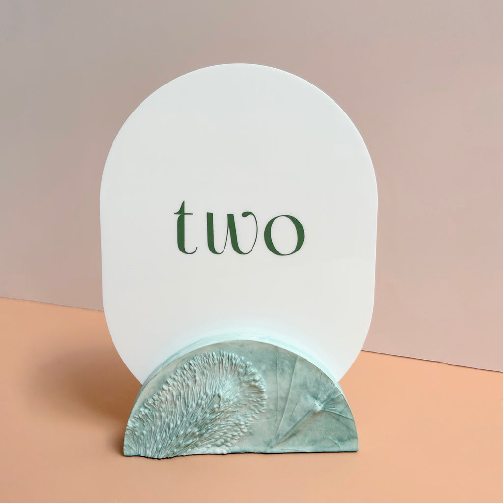Banksia Flower Wedding Table Numbers | Australian Native Resin | Annaglee