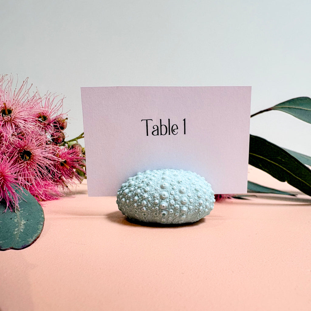 Green Sea Urchin Name Card & Photo Holder / wedding favour