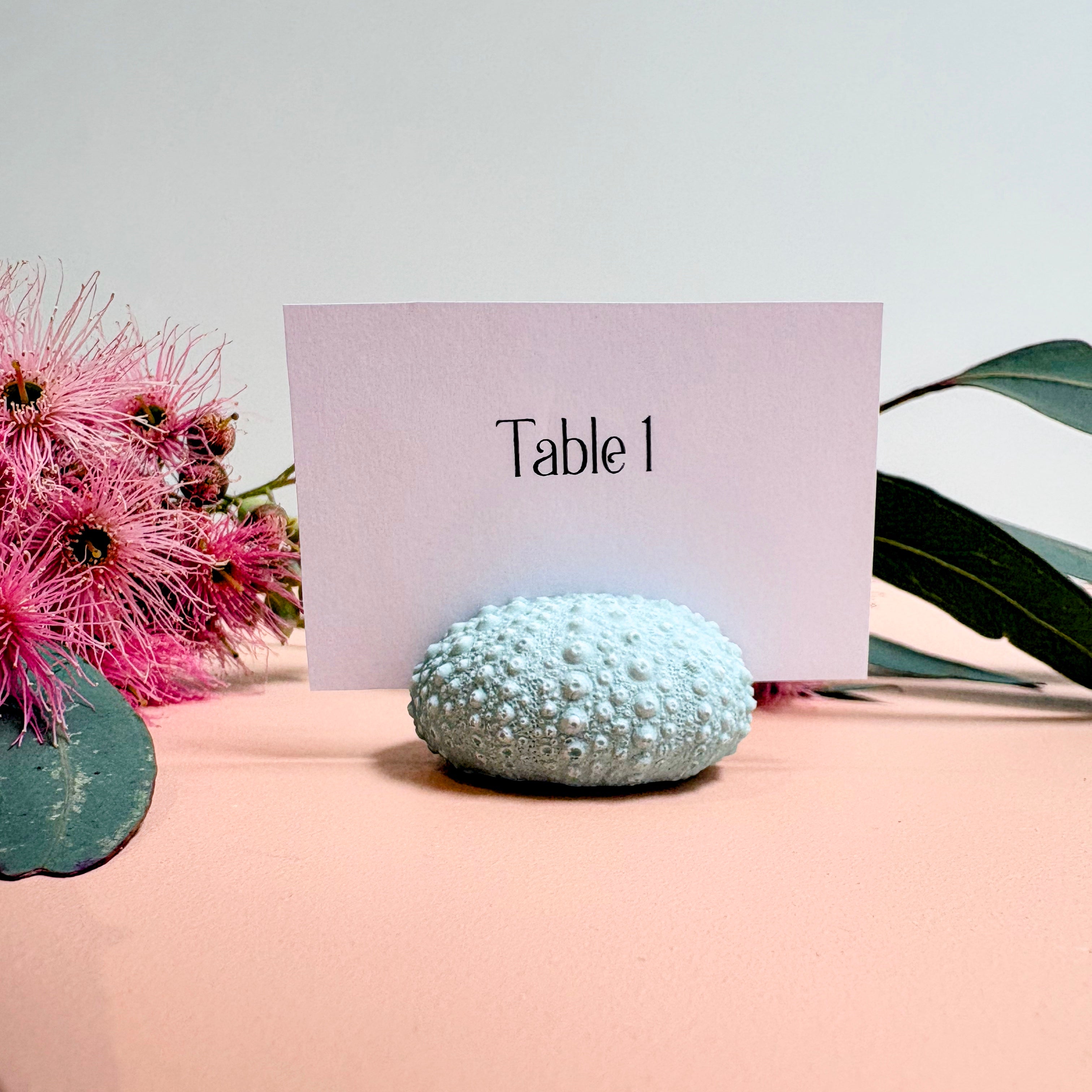Green Sea Urchin Name Card & Photo Holder / wedding favour
