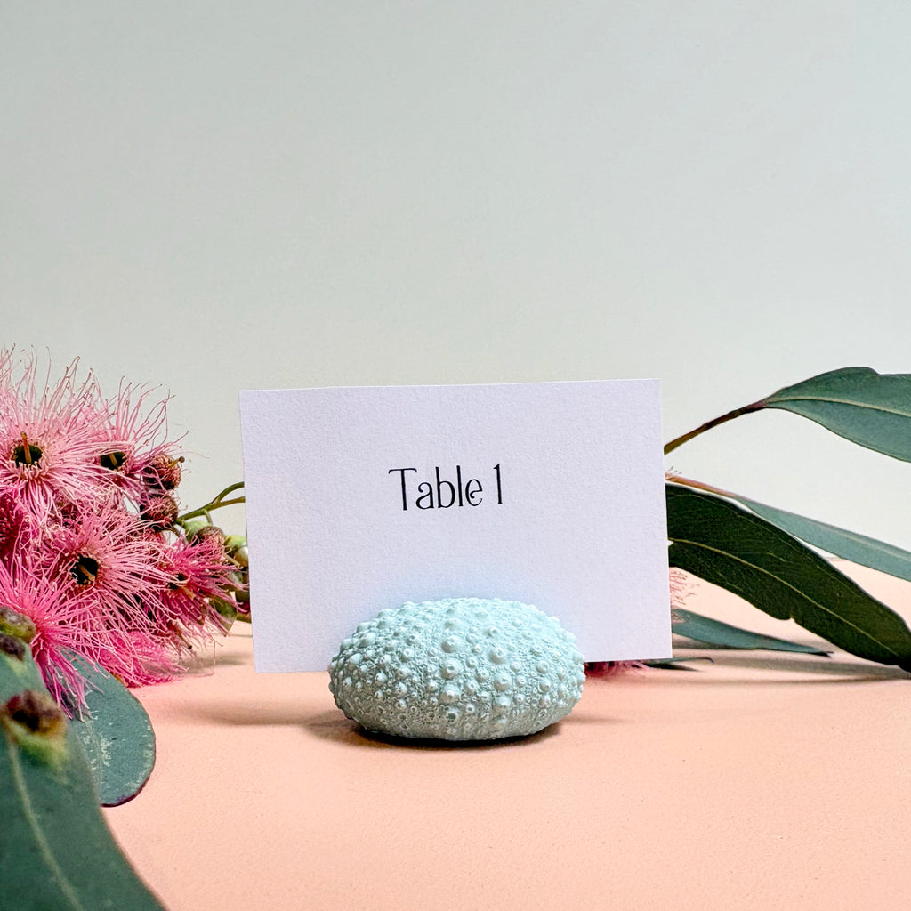 Green Sea Urchin Name Card & Photo Holder / wedding favour