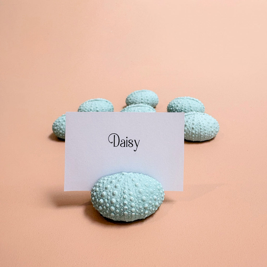 Green Sea Urchin Name Card & Photo Holder / wedding favour