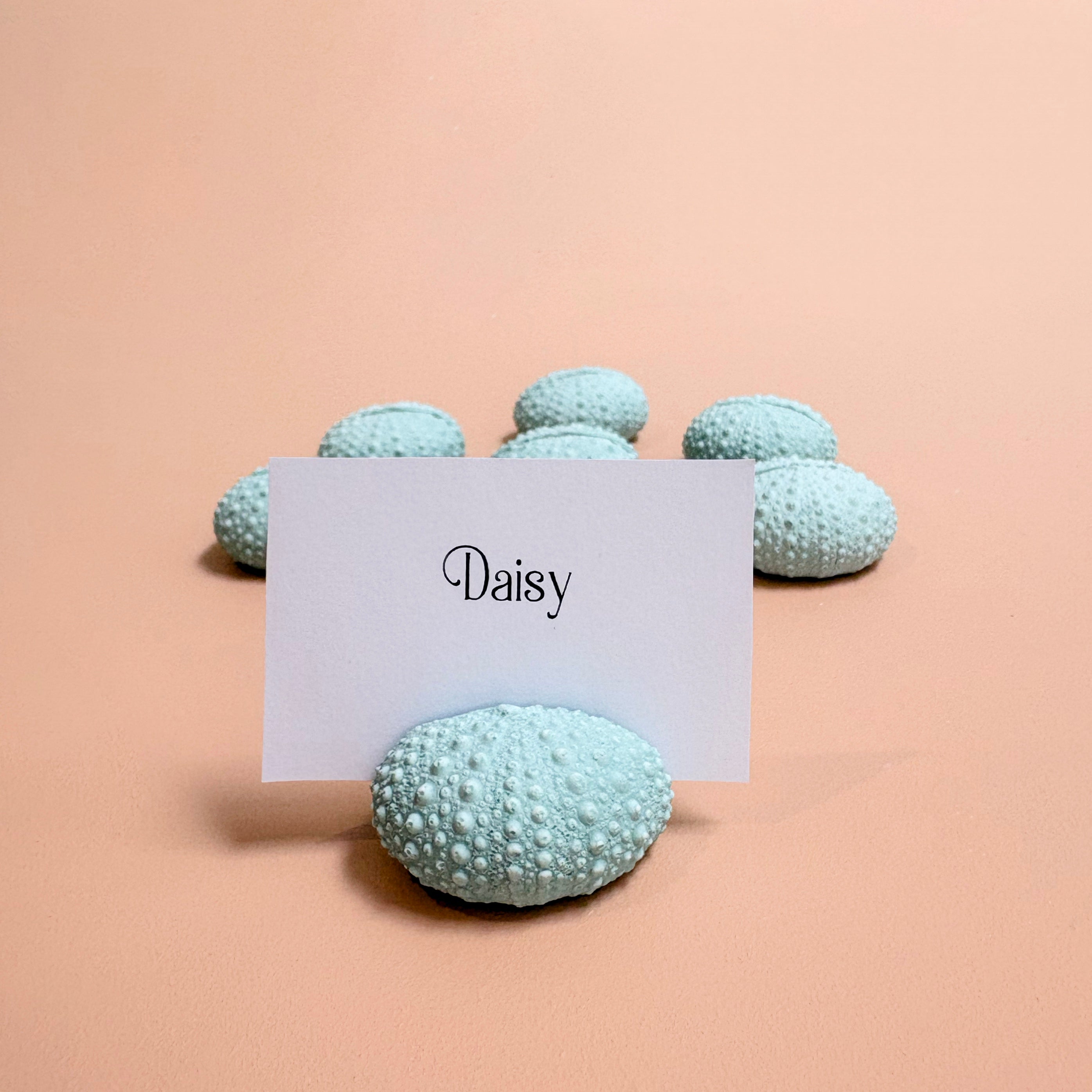 Green Sea Urchin Name Card & Photo Holder / wedding favour