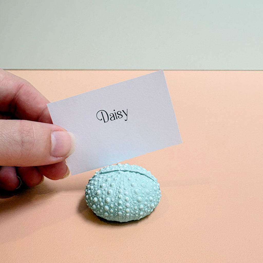 Green Sea Urchin Name Card & Photo Holder / wedding favour