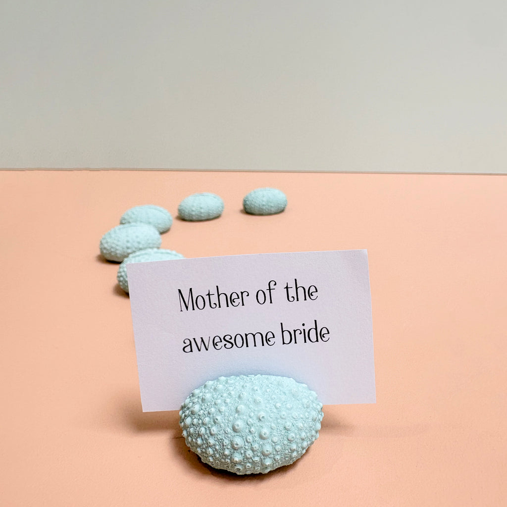 Green Sea Urchin Name Card & Photo Holder / wedding favour
