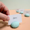 Green Sea Urchin Name Card & Photo Holder / wedding favour