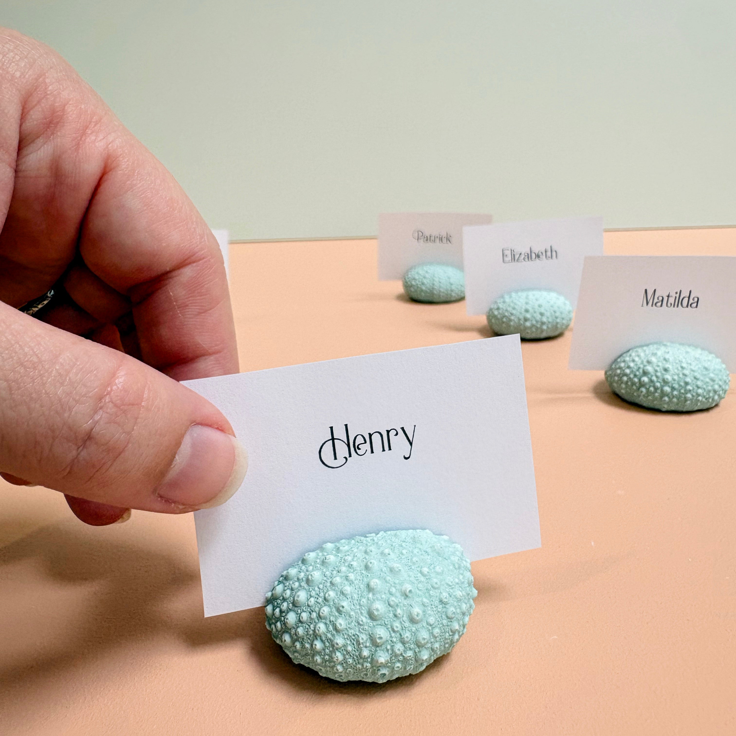 Green Sea Urchin Name Card & Photo Holder / wedding favour