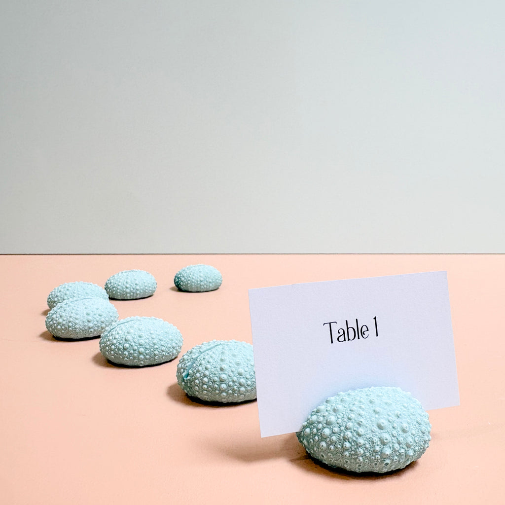 Green Sea Urchin Name Card & Photo Holder / wedding favour