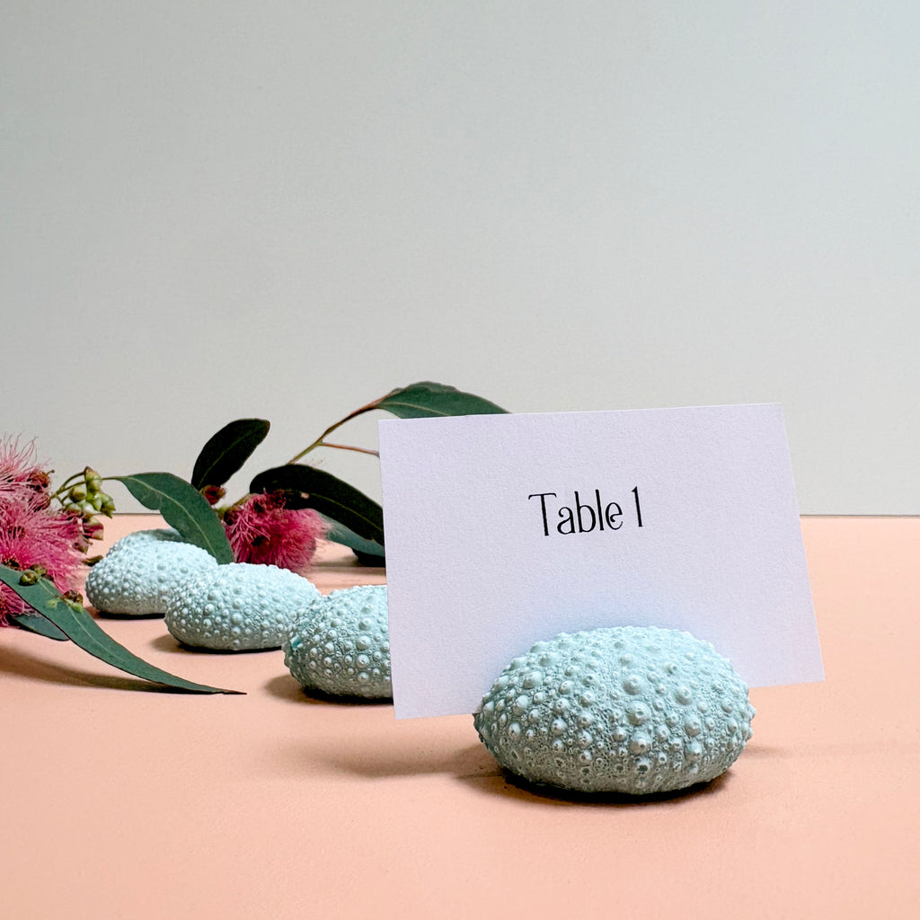 Green Sea Urchin Name Card & Photo Holder / wedding favour