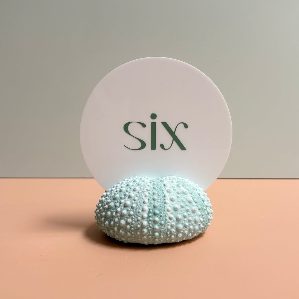 Green Sea Urchin table number & Photo Holder — Eco Resin