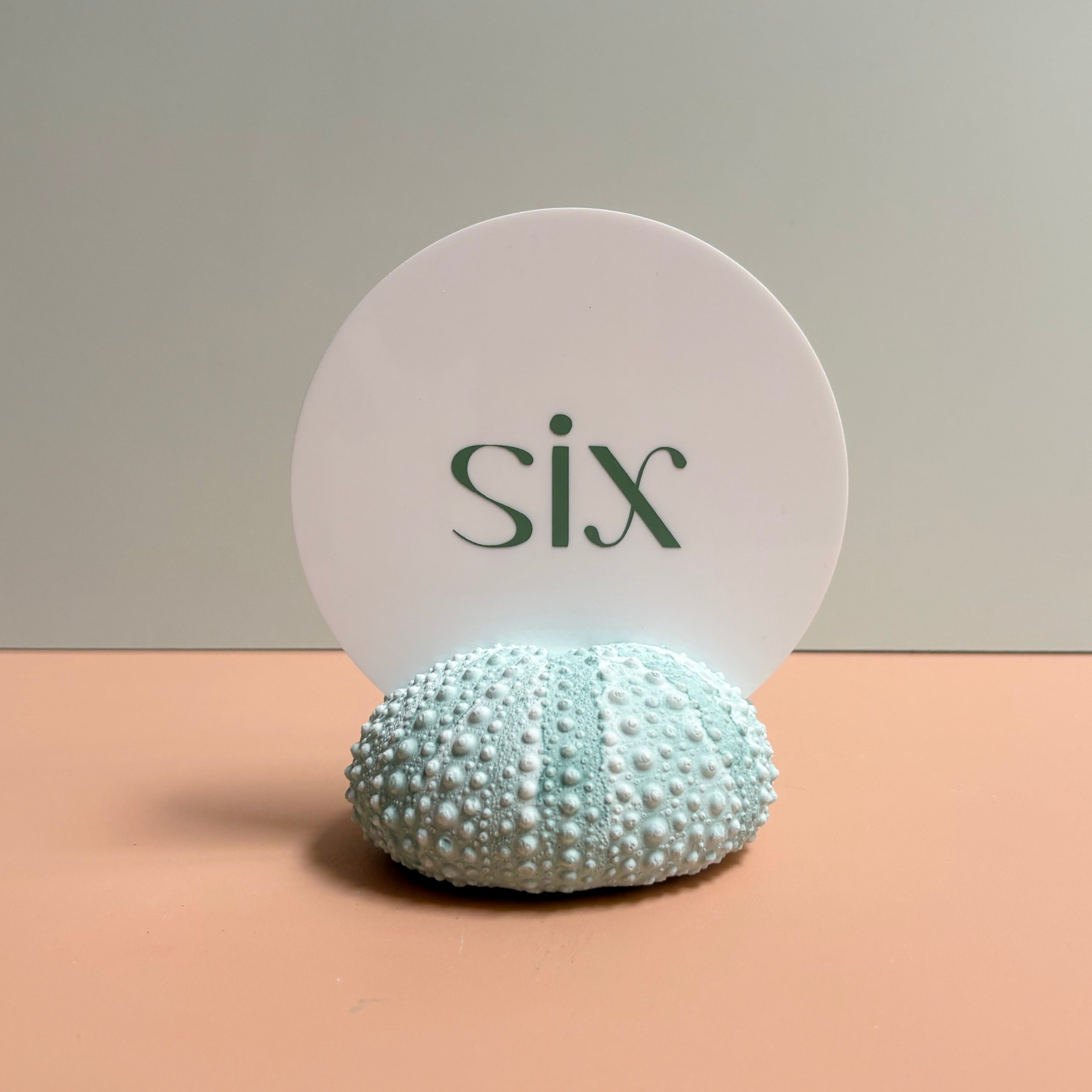 Green Sea Urchin table number & Photo Holder — Eco Resin