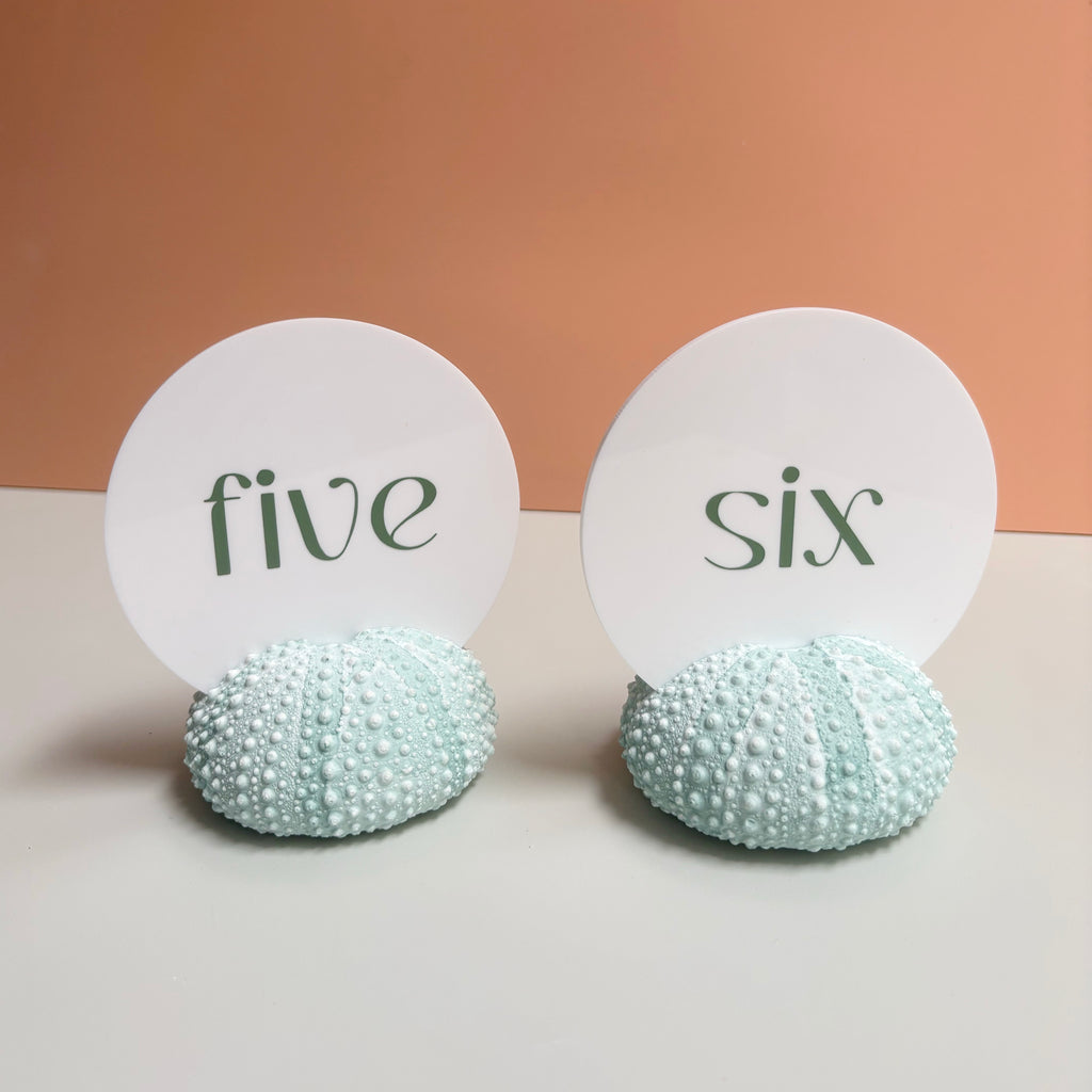 Green Sea Urchin table number & Photo Holder — Eco Resin
