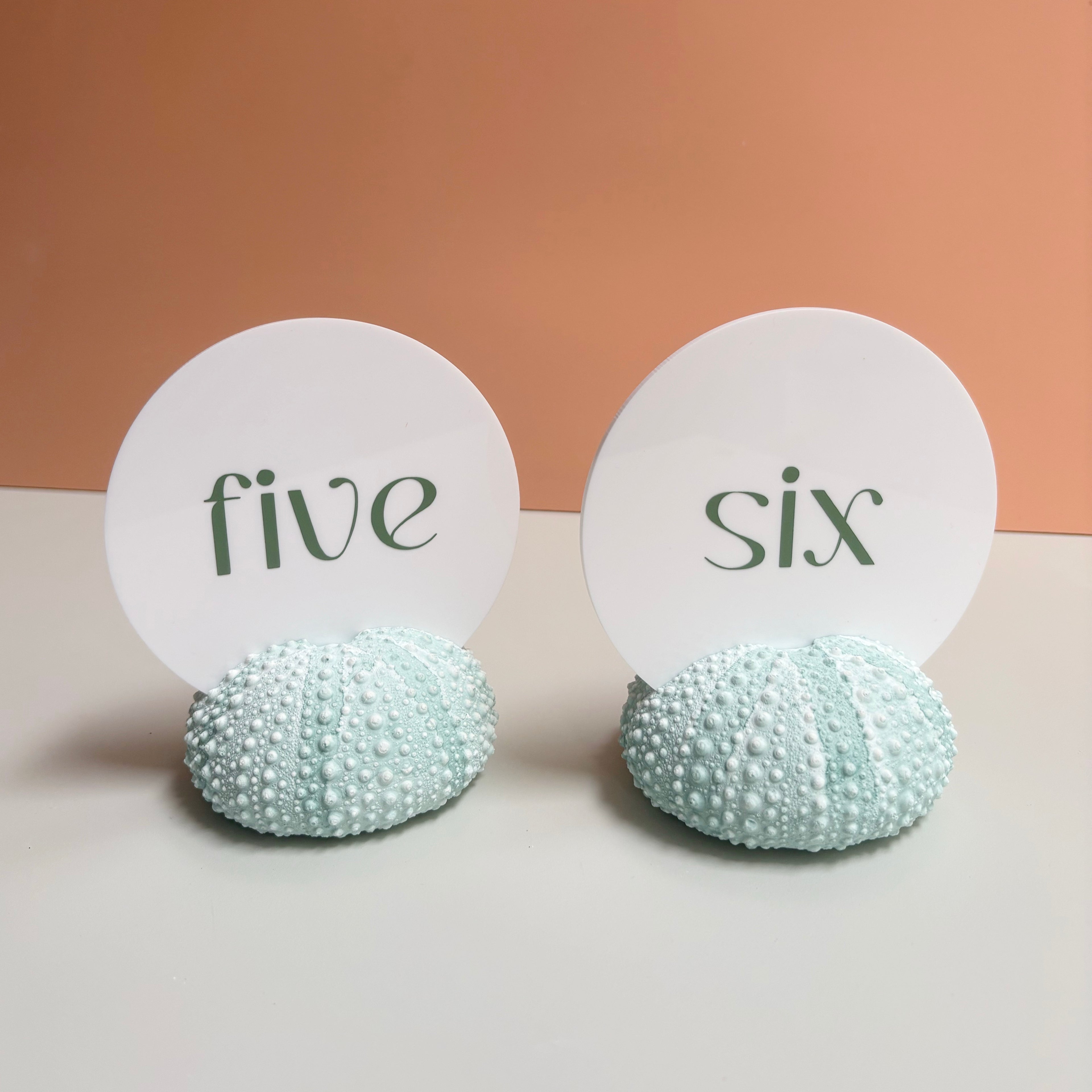 Green Sea Urchin table number & Photo Holder — Eco Resin