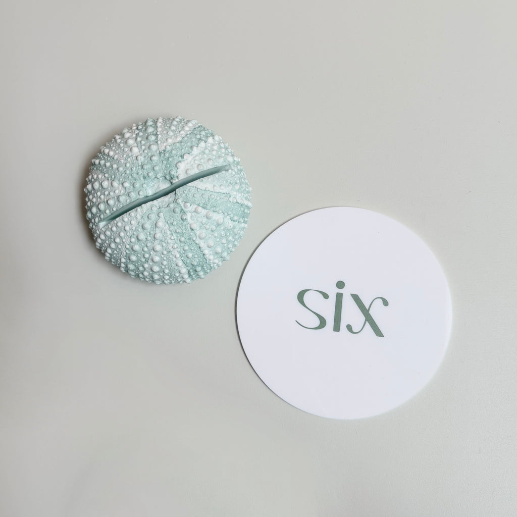 Green Sea Urchin table number & Photo Holder — Eco Resin
