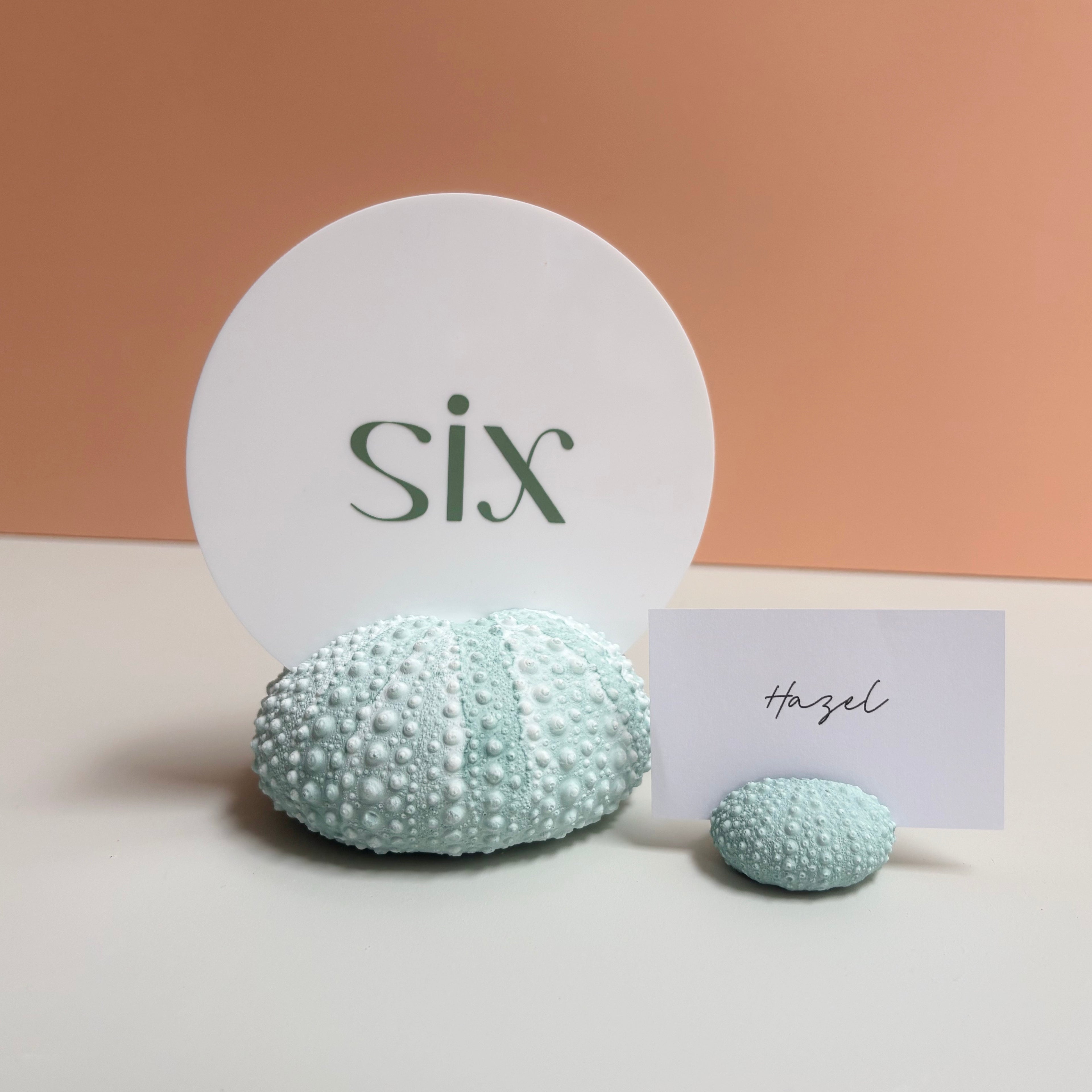 Green Sea Urchin table number & Photo Holder — Eco Resin