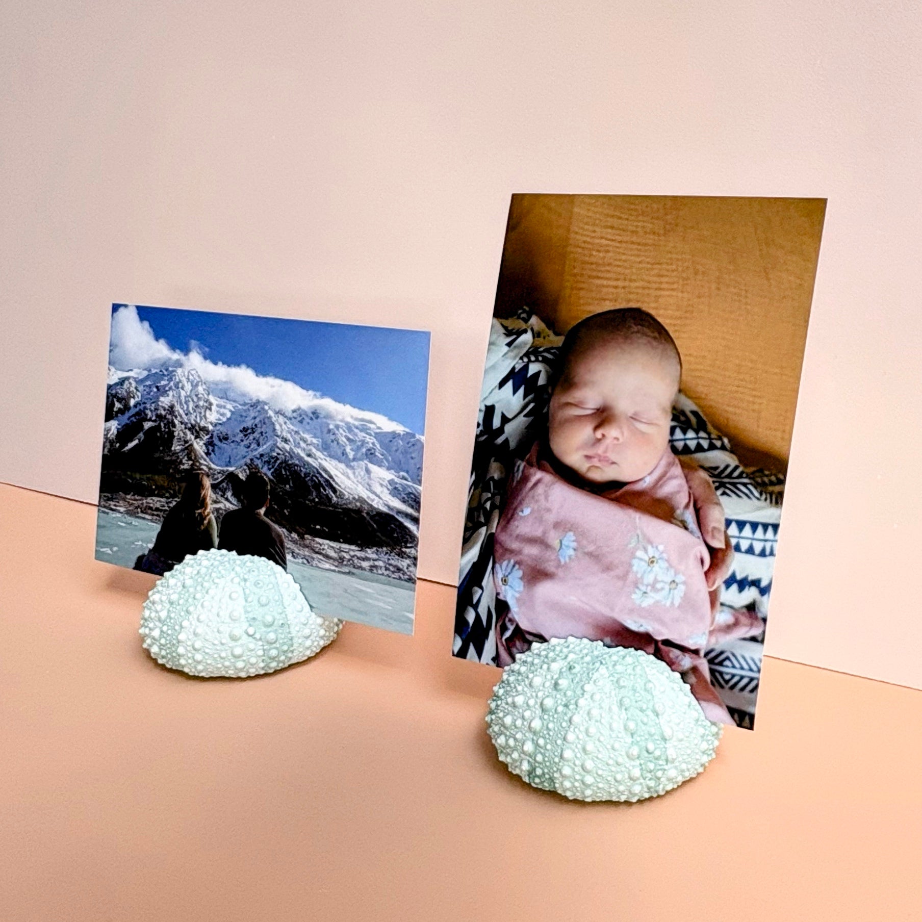 Sea Urchin Card & Photo Holder — Eco Resin | Coastal Wedding Decor