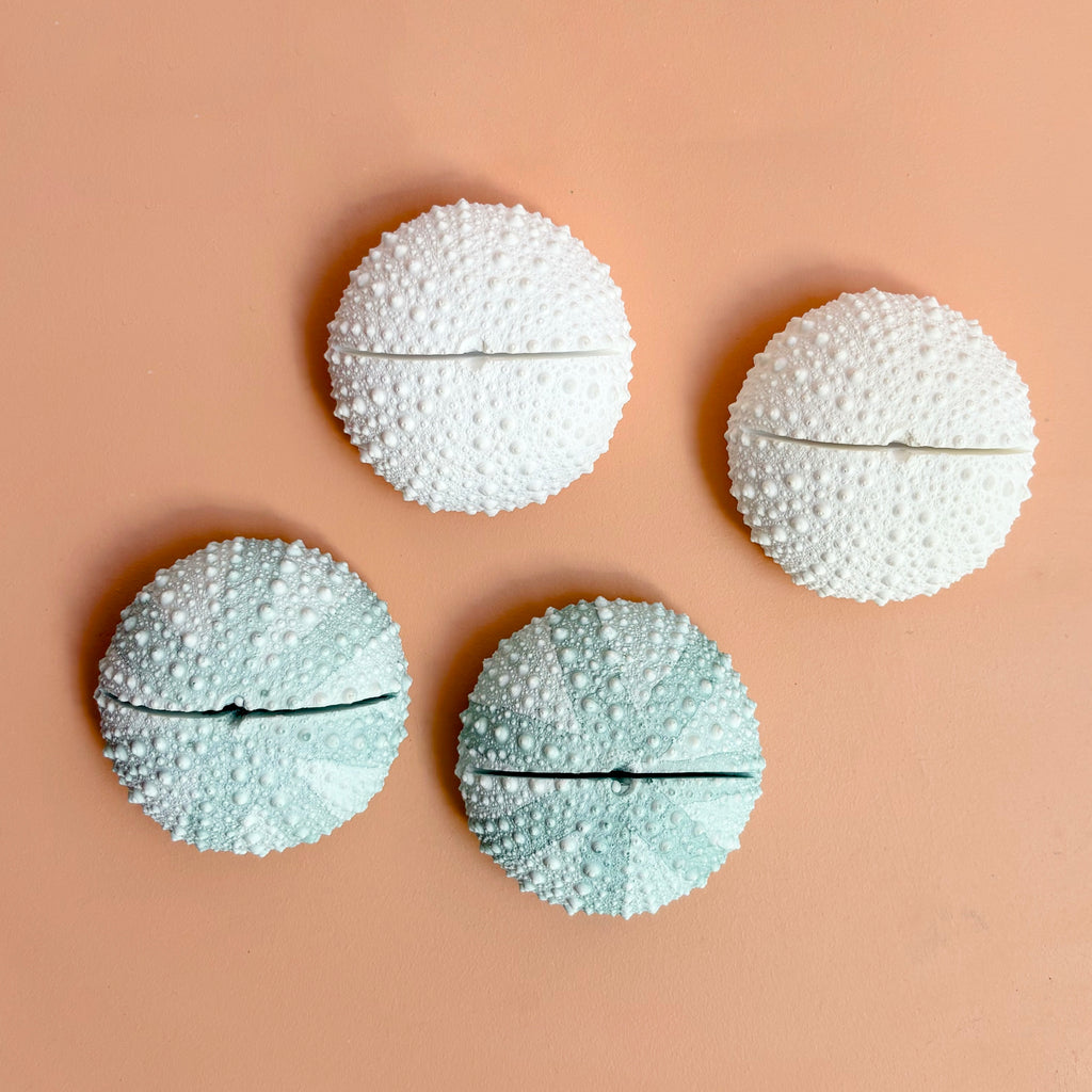Sea Urchin Card & Photo Holder — Eco Resin | Coastal Wedding Decor