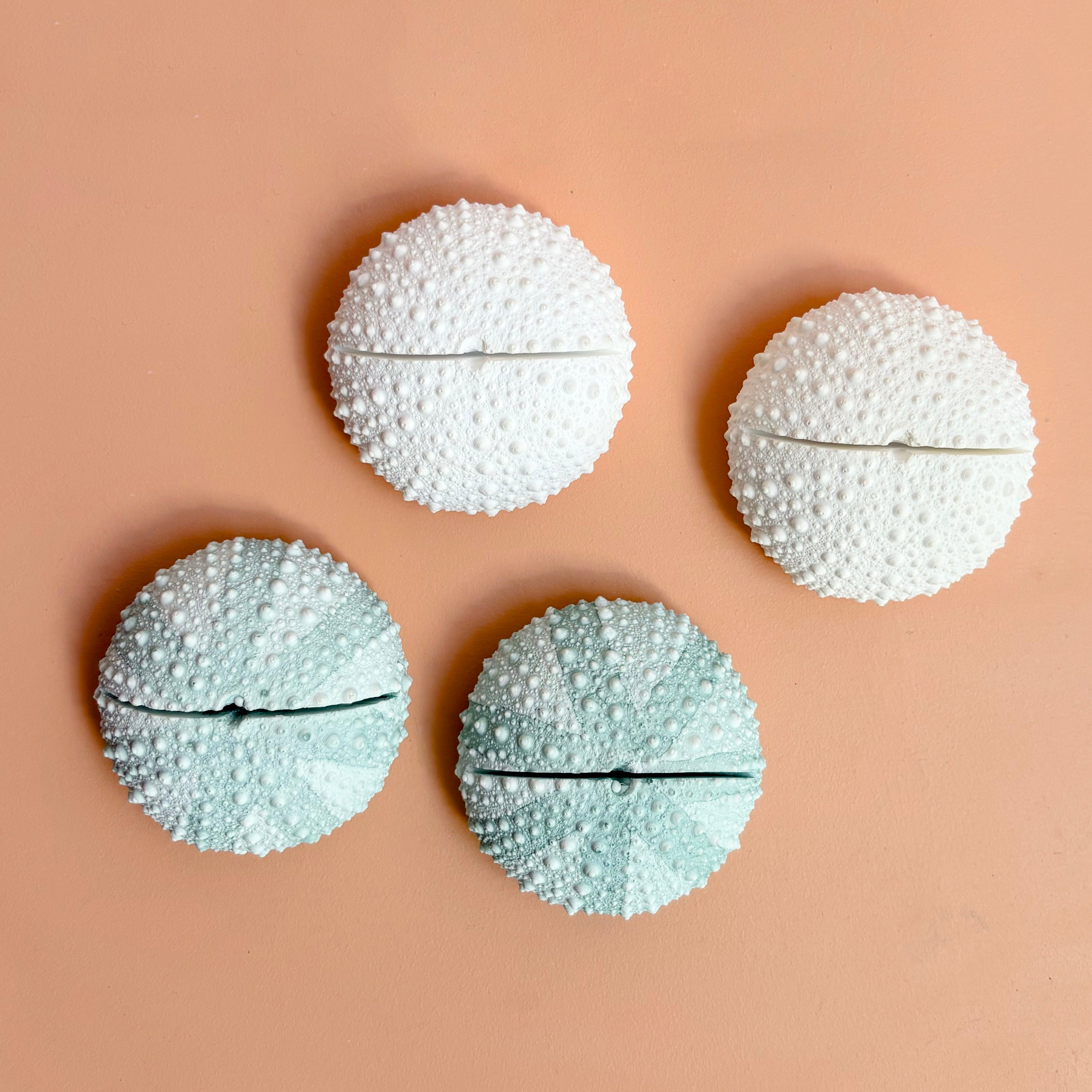 Sea Urchin Card & Photo Holder — Eco Resin | Coastal Wedding Decor