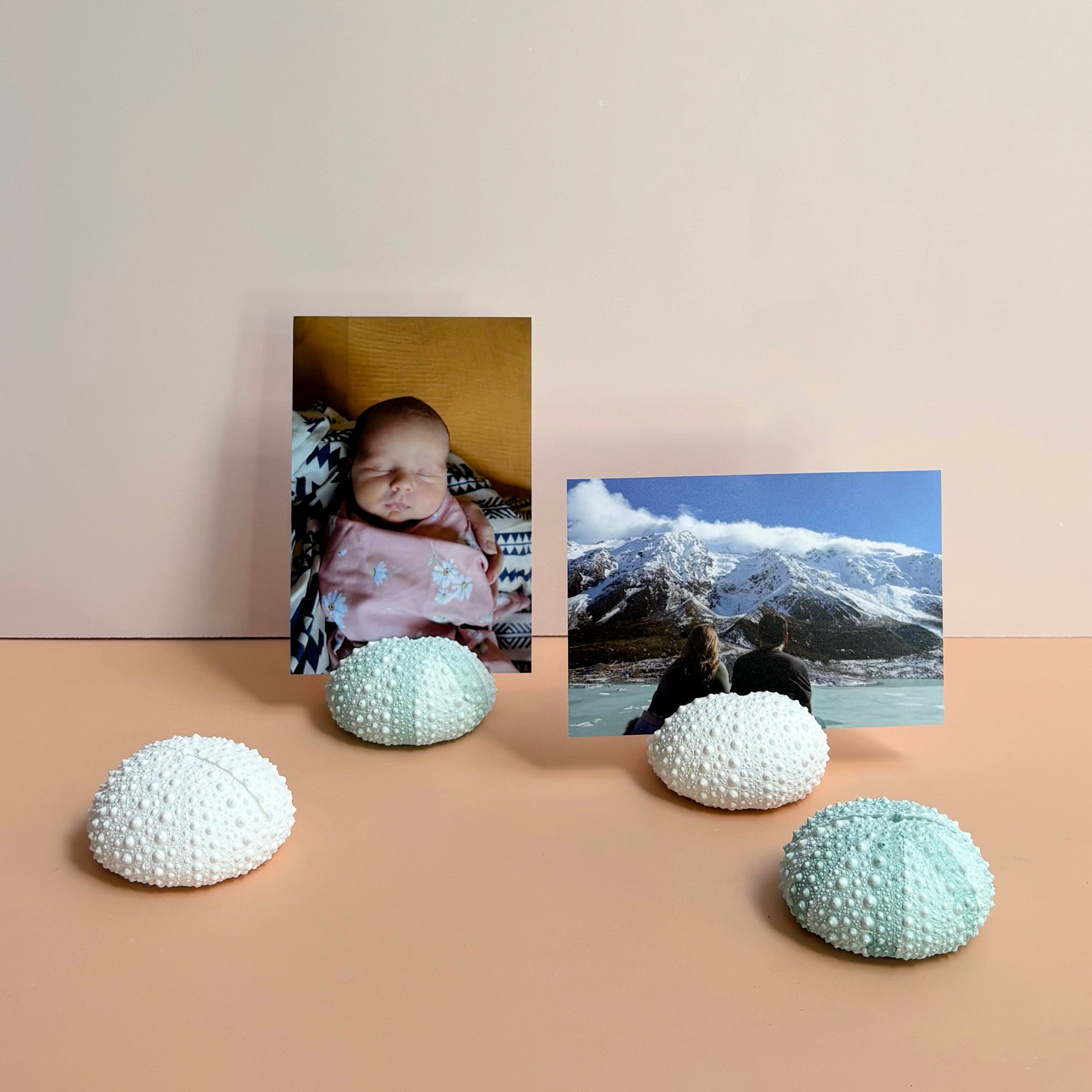 Sea Urchin Card & Photo Holder — Eco Resin | Coastal Wedding Decor