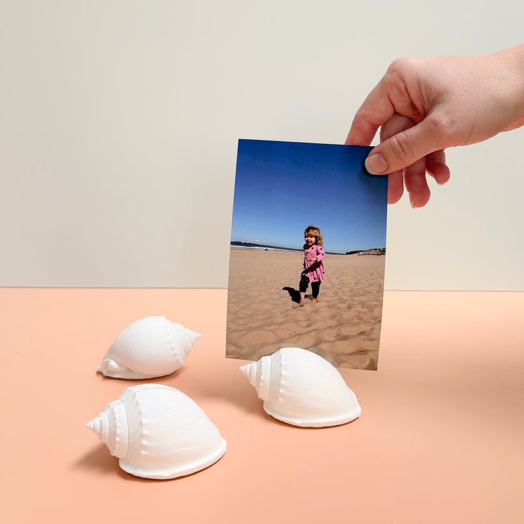 eco resin sea shell photo display