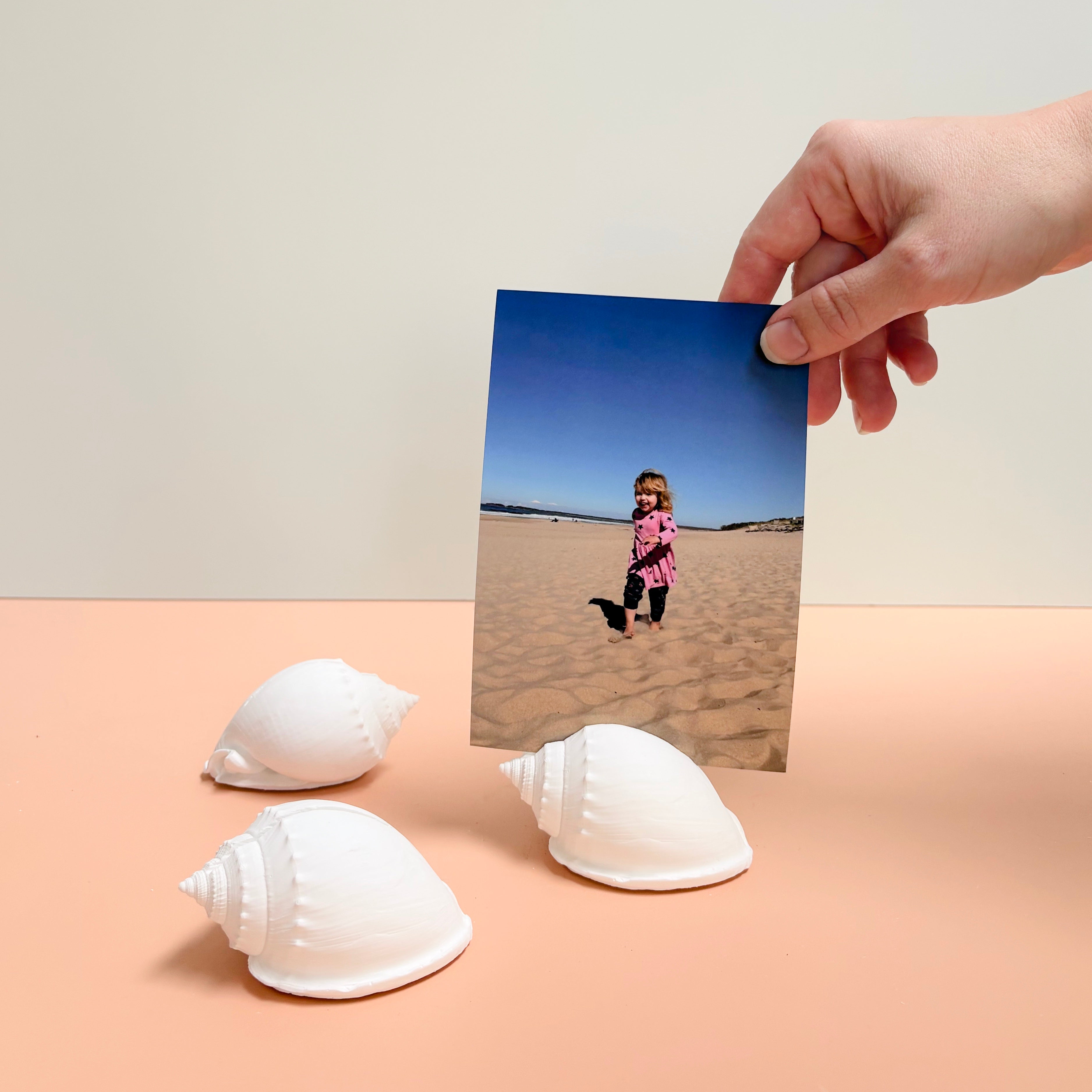 eco resin sea shell photo display