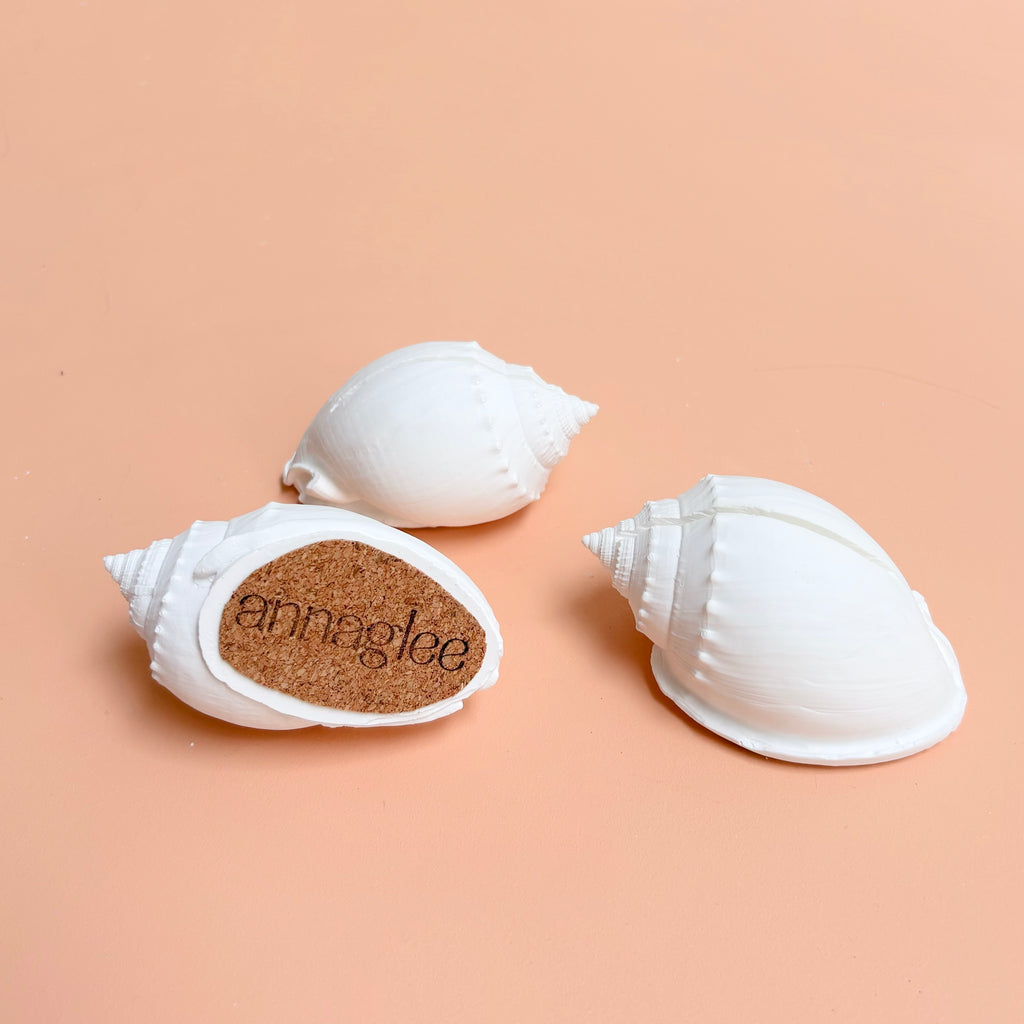 eco resin sea shell photo display