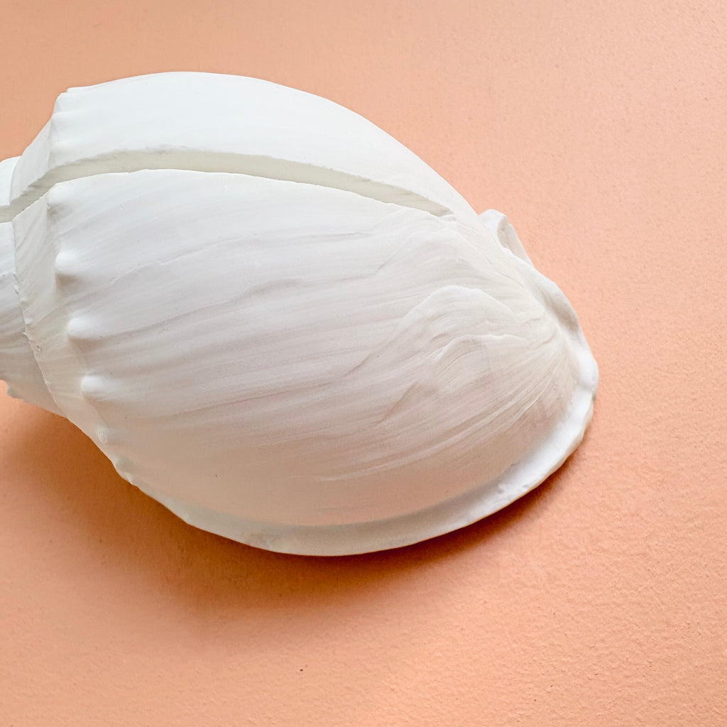 eco resin sea shell photo display