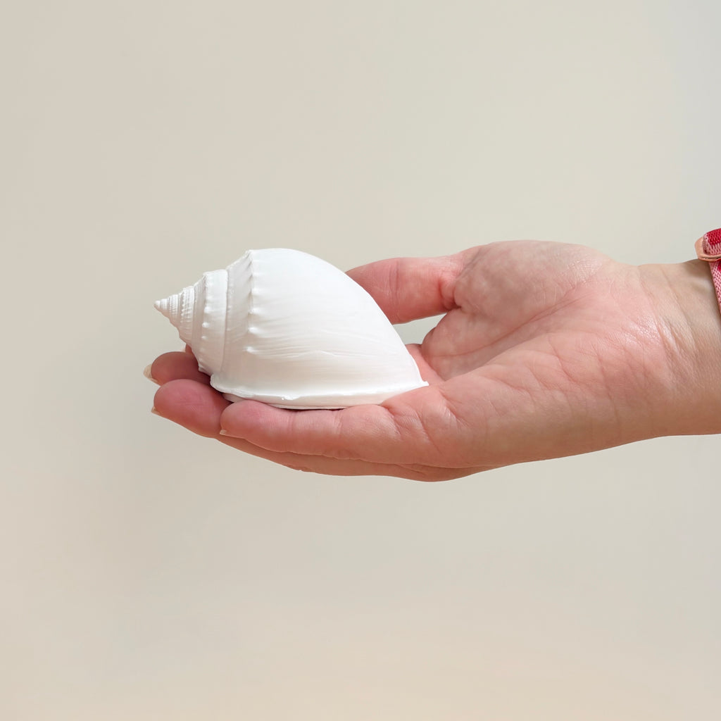 eco resin sea shell photo display